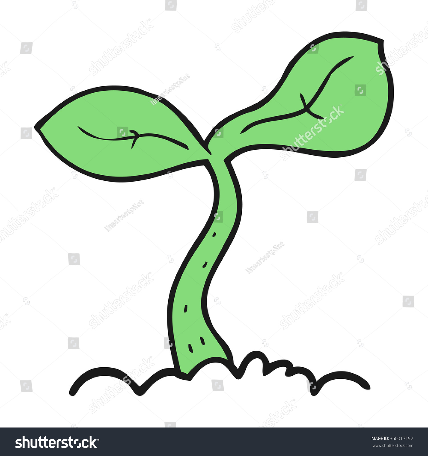 Freehand Drawn Cartoon Seedling Growing Stock Illustration 360017192 ...