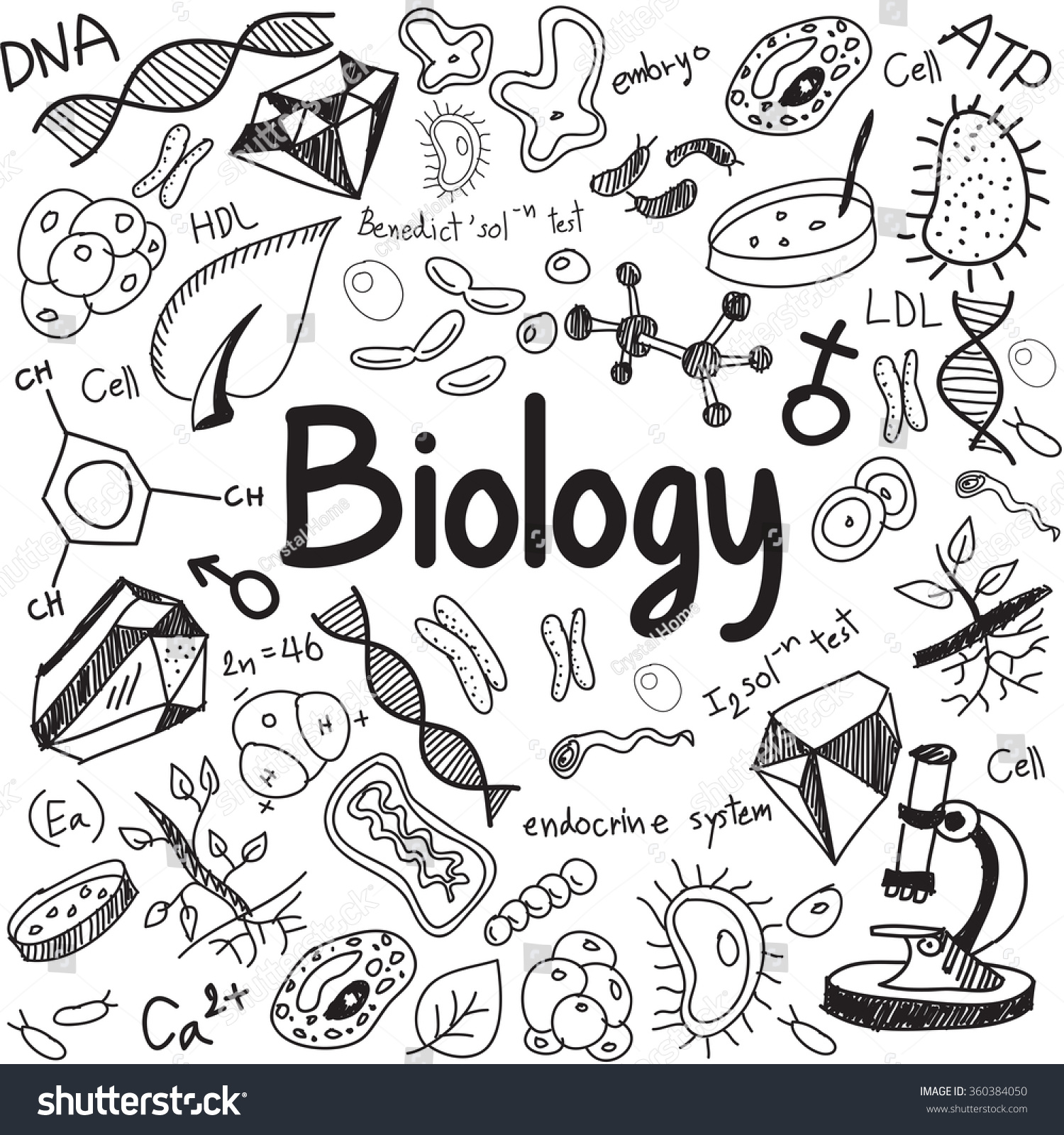 41.333 Imagens De Biology Doodle Imagens, Fotos Stock E Vetores ...