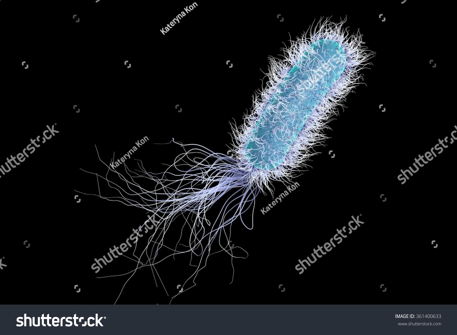 Bacterium Pseudomonas Aeruginosa Isolated On Black Stock Illustration ...