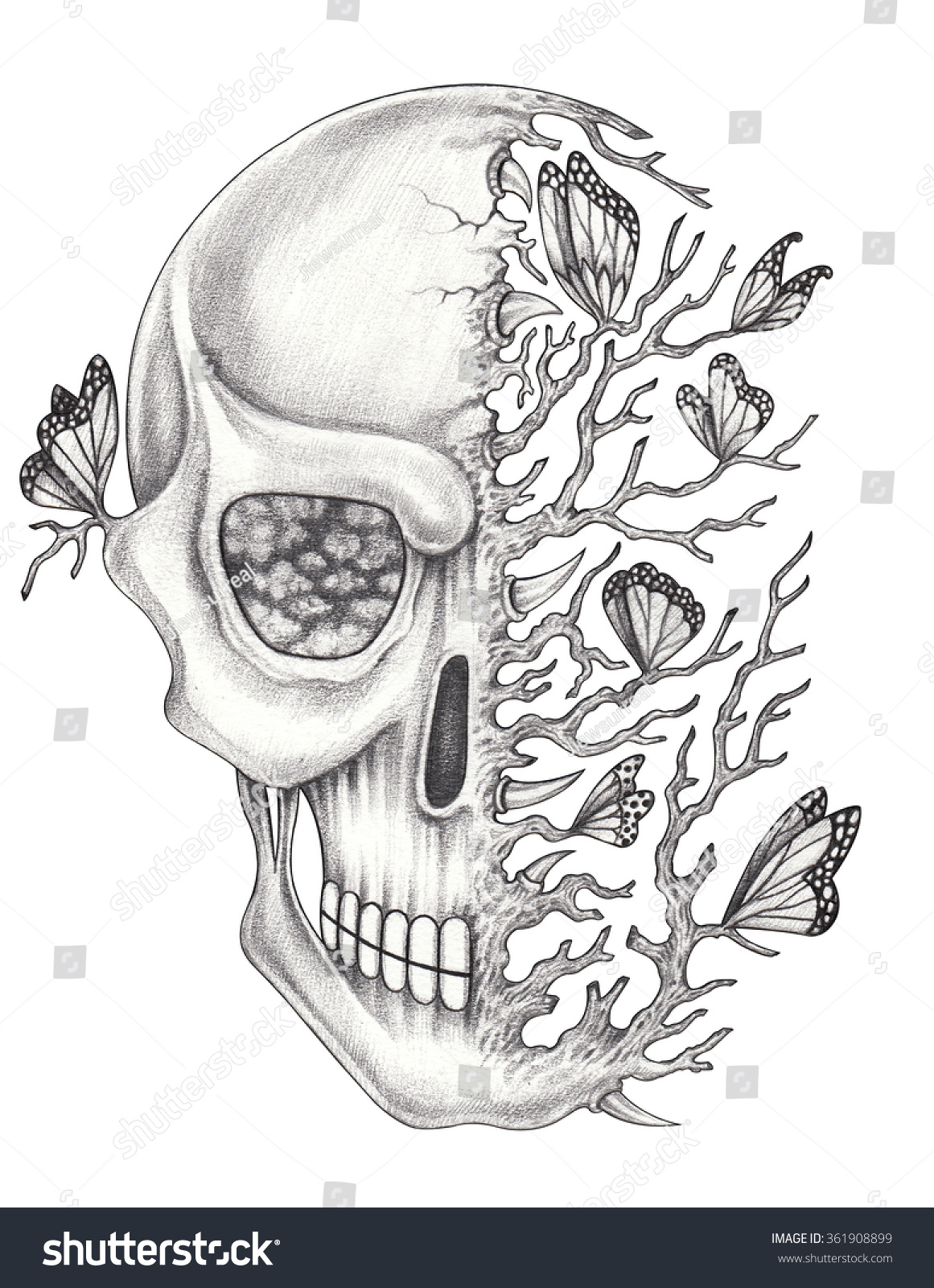 Art Skull Surrealhand Pencil Drawing On Stock Illustration 361908899 Shutterstock 