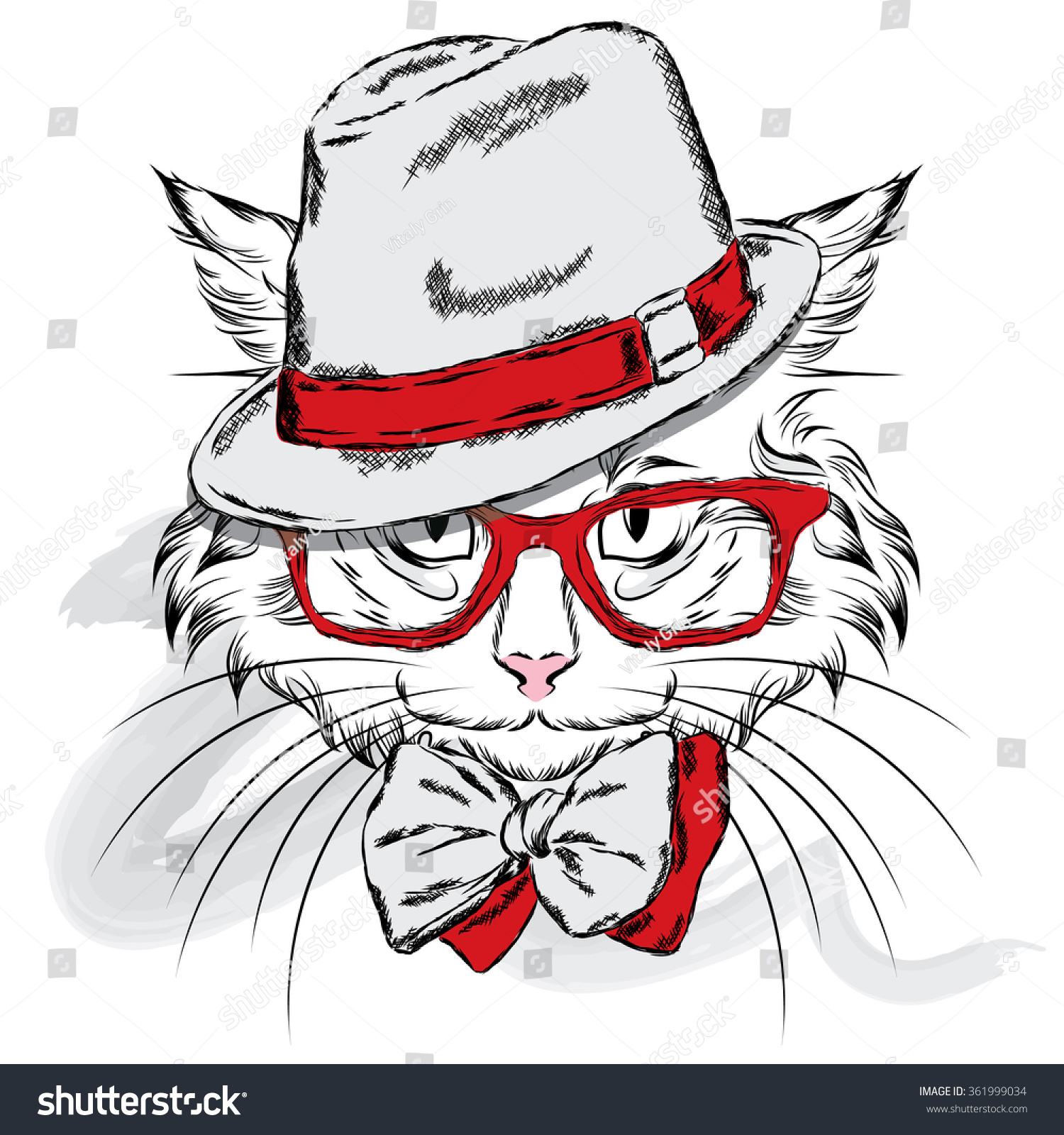 cat in the hat glasses