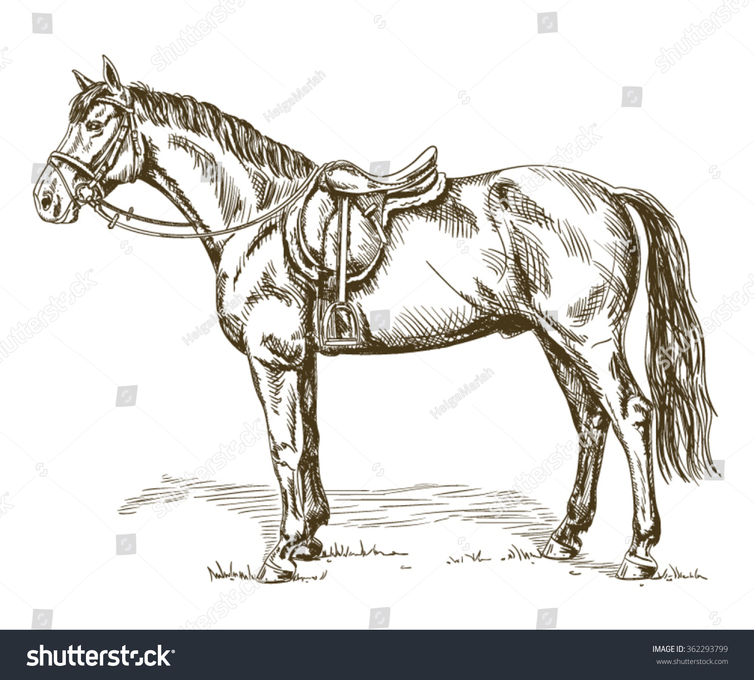 Седло для лошади рисунок