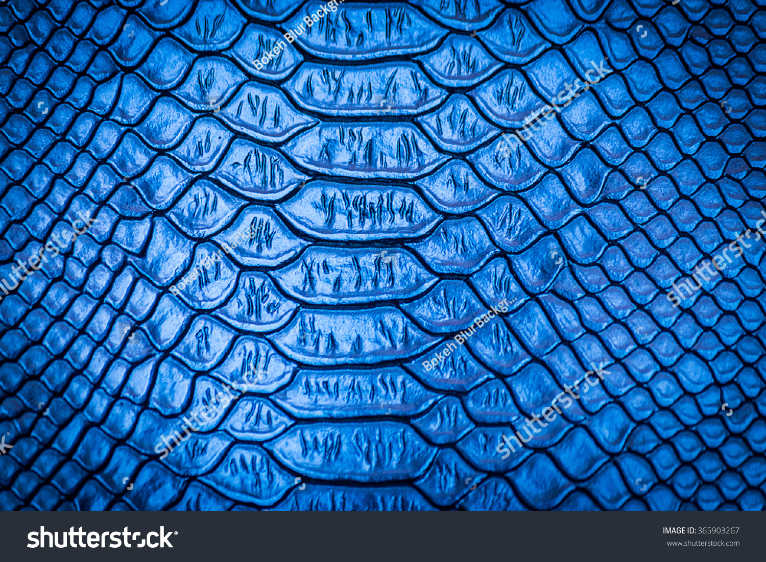 Close Snake Skin Texture Use Background Stock Photo 365903267 ...