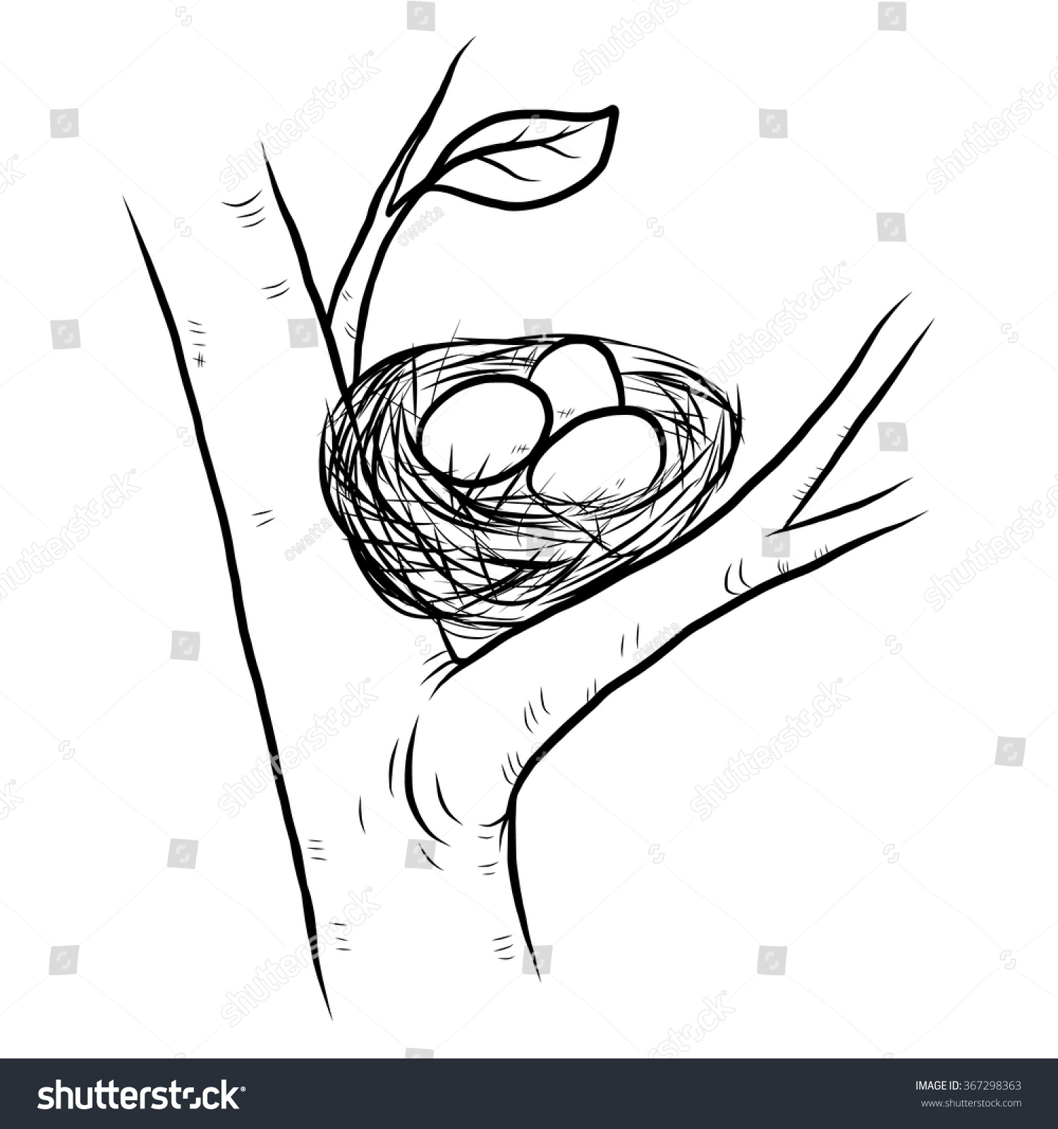 Гнездо с яйцами рисунок карандашом