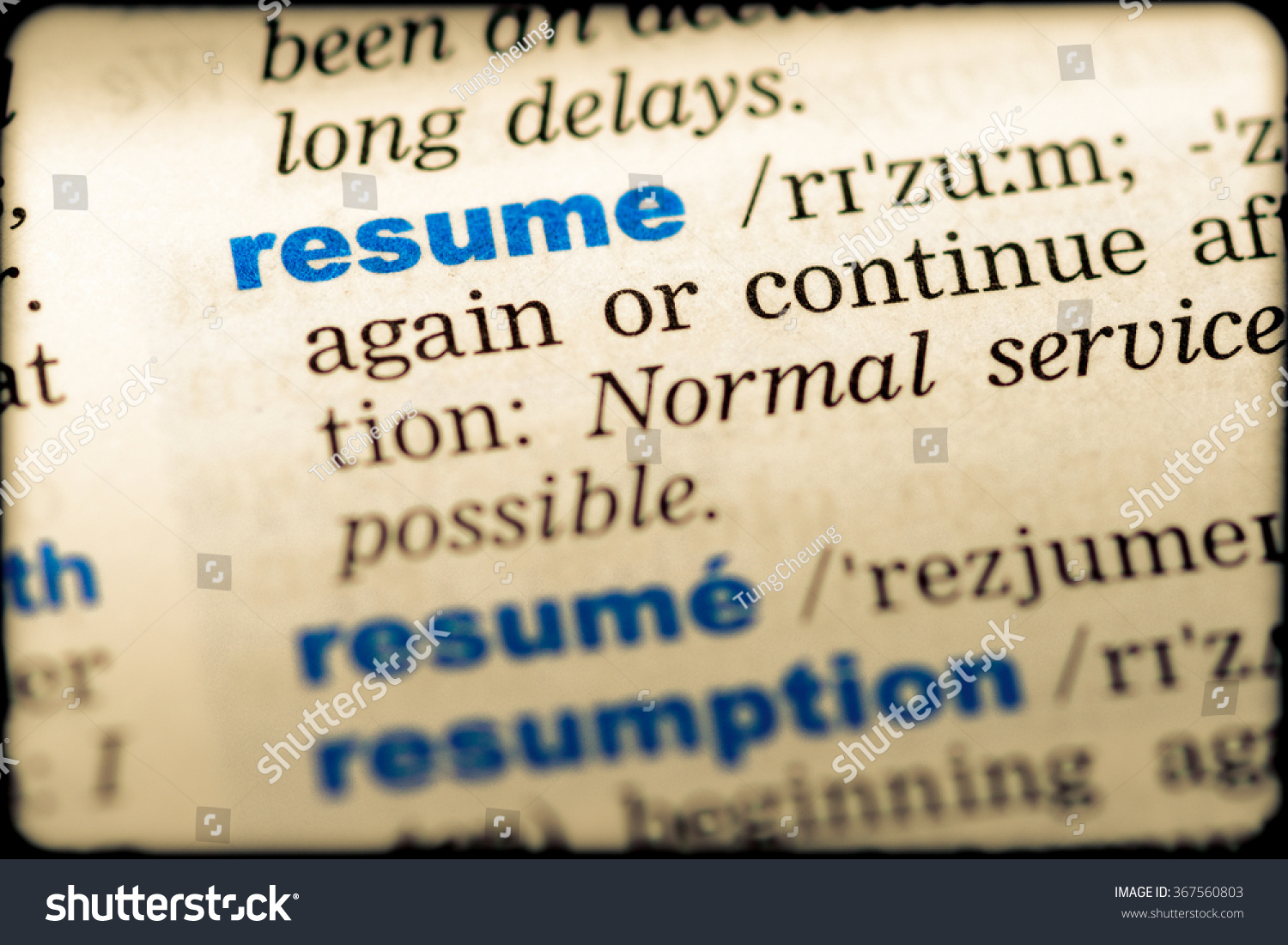 dictionary definition for resume