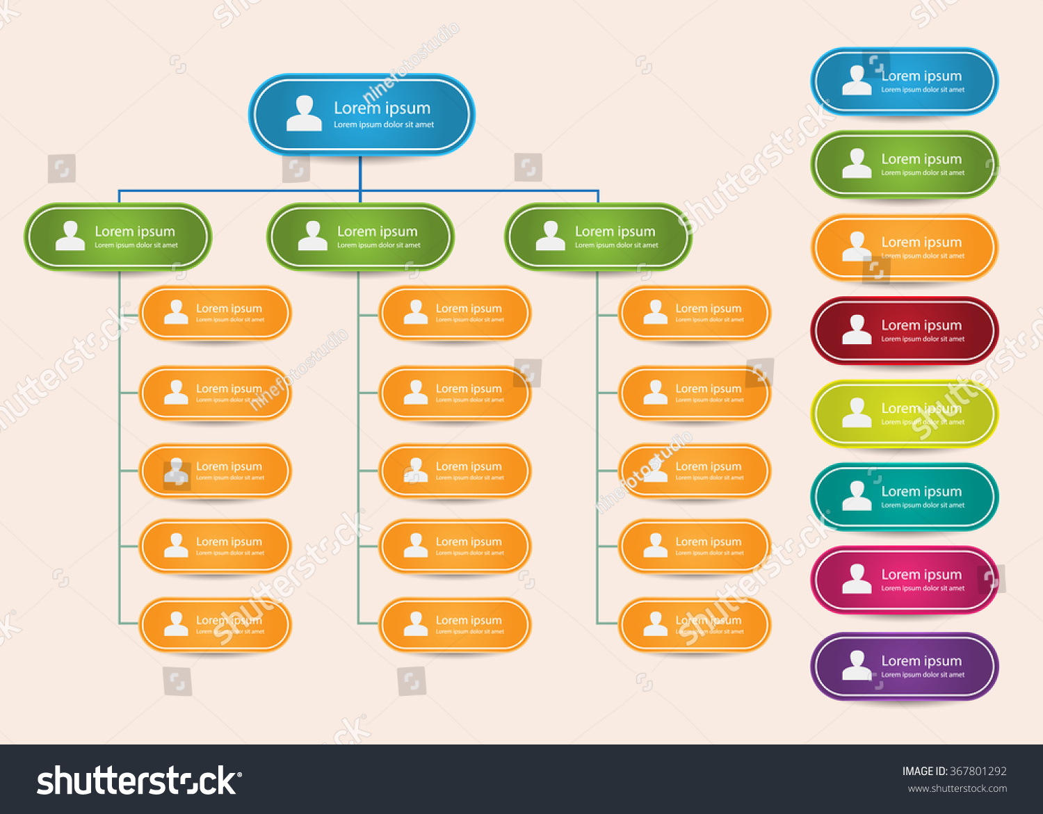 Rounded Rectangle Organization Chart Infographics People Stock Vector ...