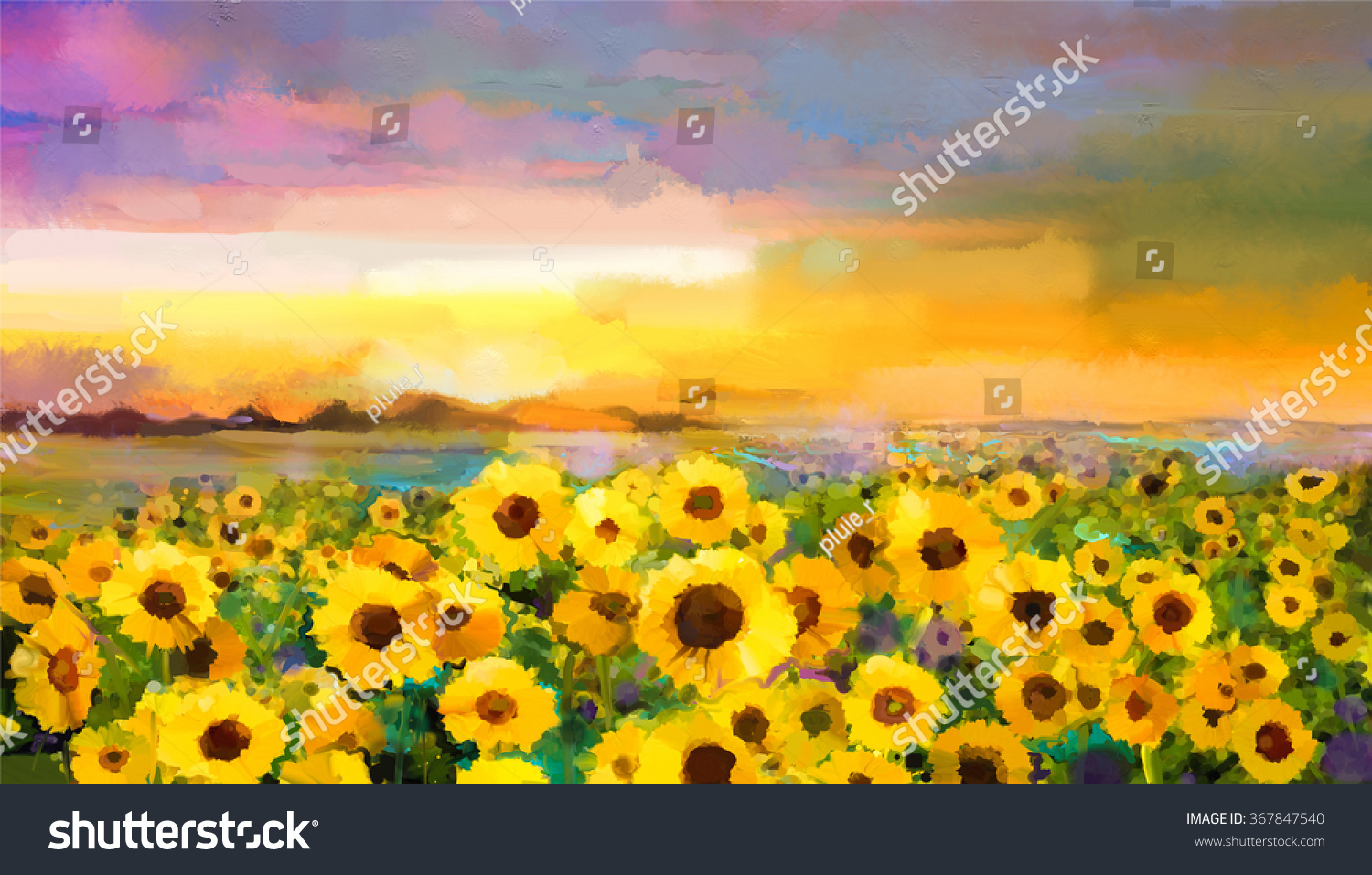 Oil Painting Yellow Golden Sunflower Daisy Stock Illustration 367847540 ...