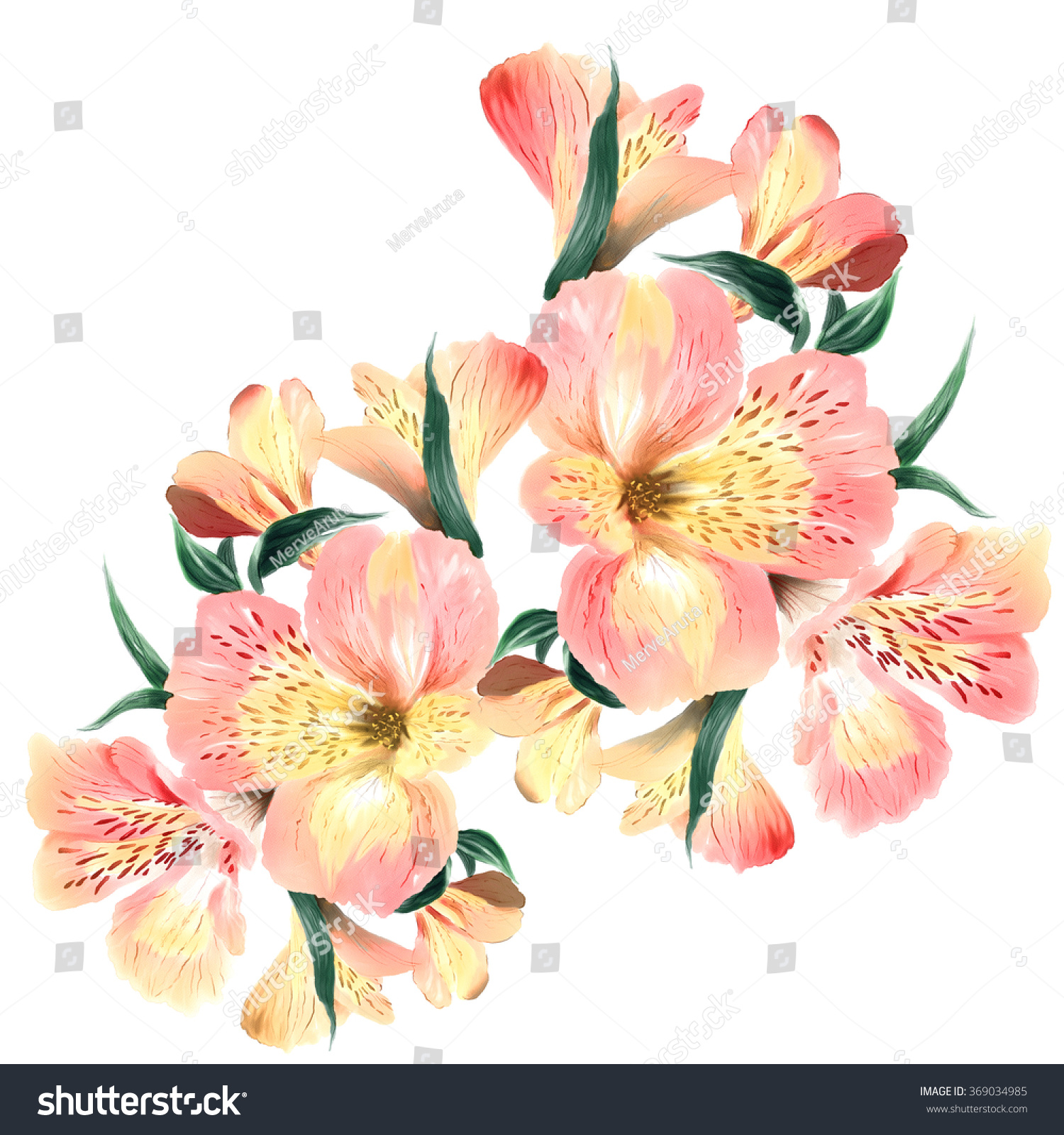 Watercolor Flower Illustration Stock Illustration 369034985 Shutterstock 0816