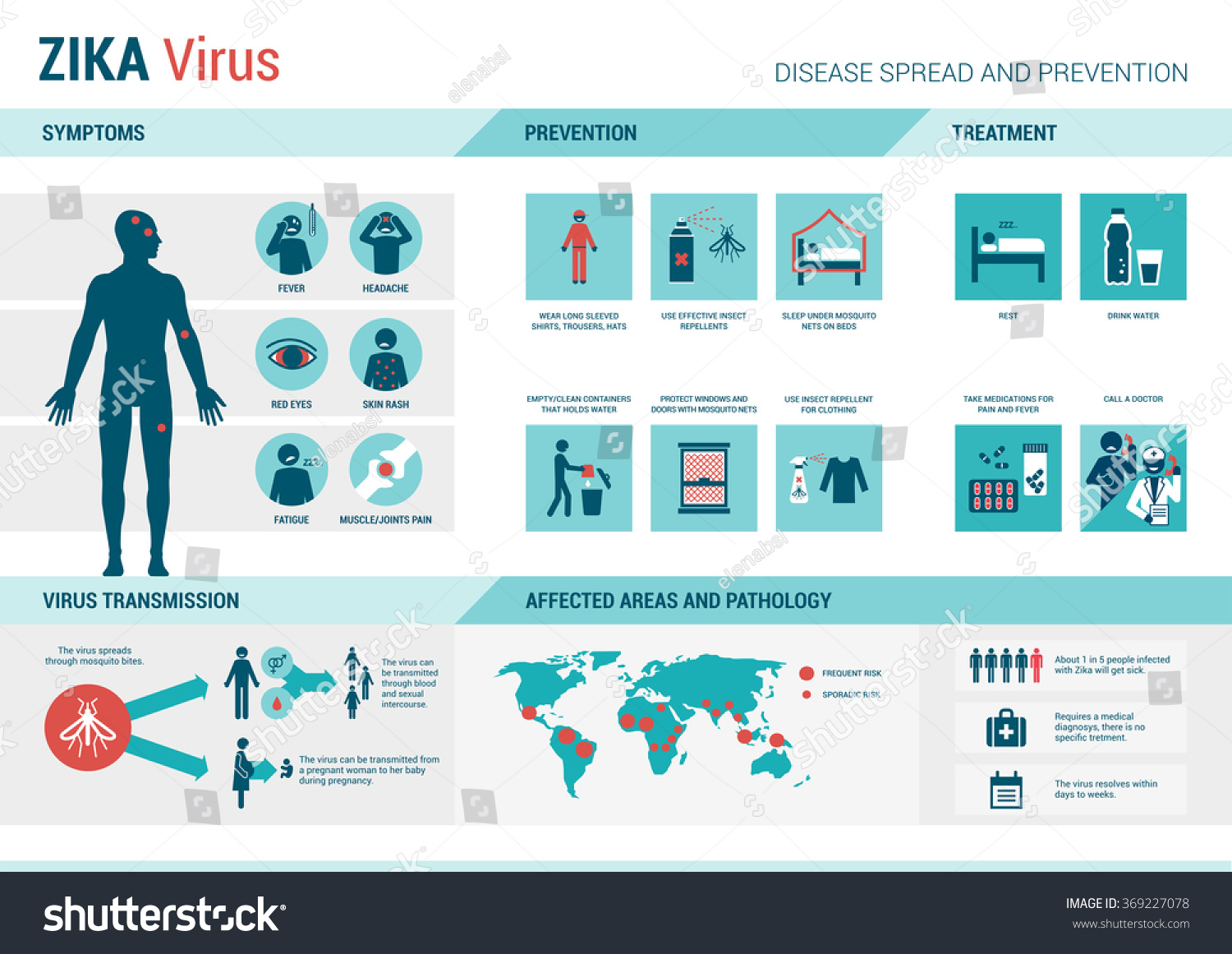 Zika Virus Infographic Prevention Symptoms Treatment Stock Vector ...