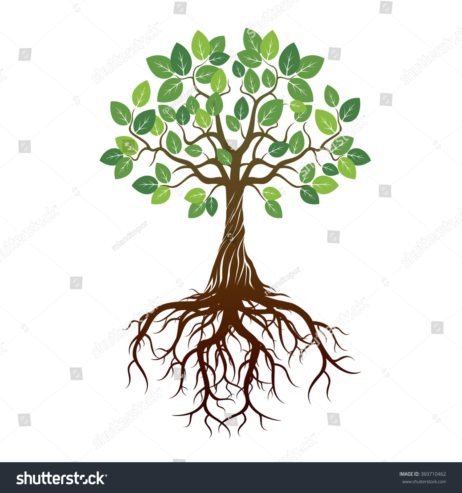 Color Tree Roots Vector Illustration Stock Vector (Royalty Free ...