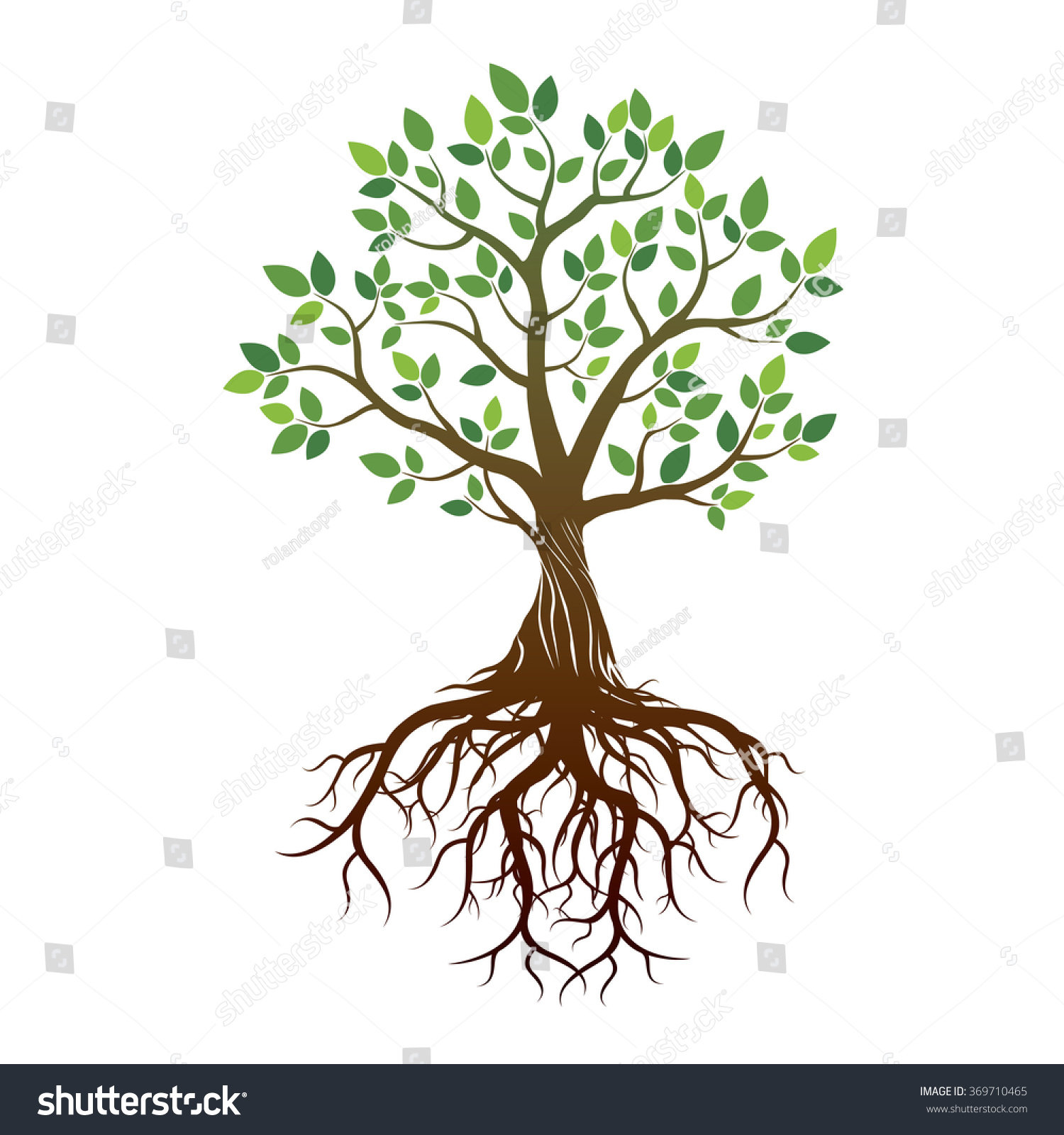 Color Tree Roots Vector Illustration Stock Vector (Royalty Free ...