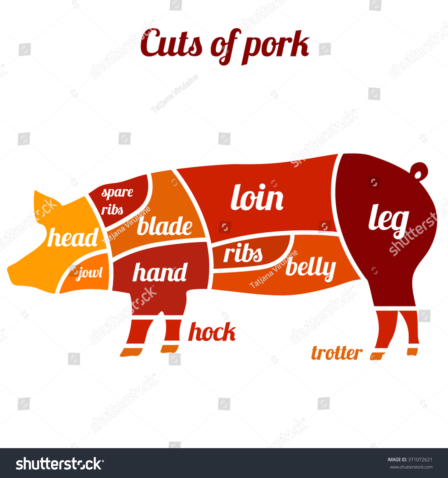 Pork Meat Pig Cuts Vector Illustration Stock Vector (Royalty Free ...