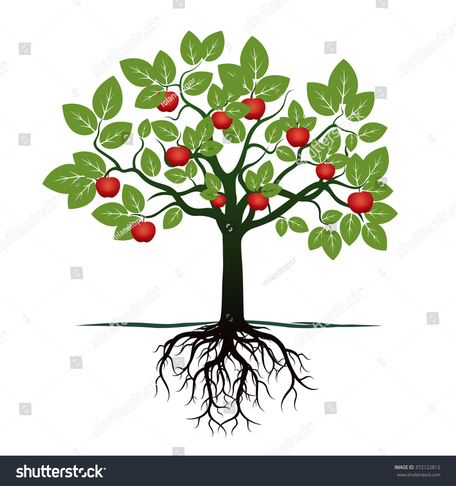 Дерево с корнями и плодами