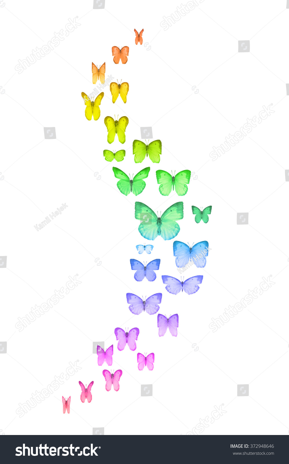 Curved Group Rainbow Colored Butterflies Emphasis Stock Photo 372948646 ...