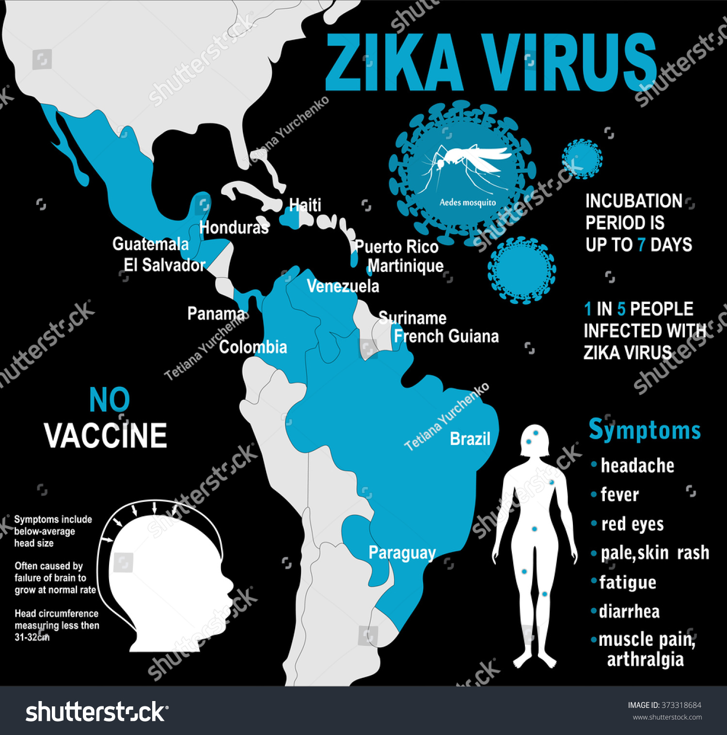 Zika Virus Infographic Elements Prevention Transmission Stock Vector Royalty Free 373318684 5035