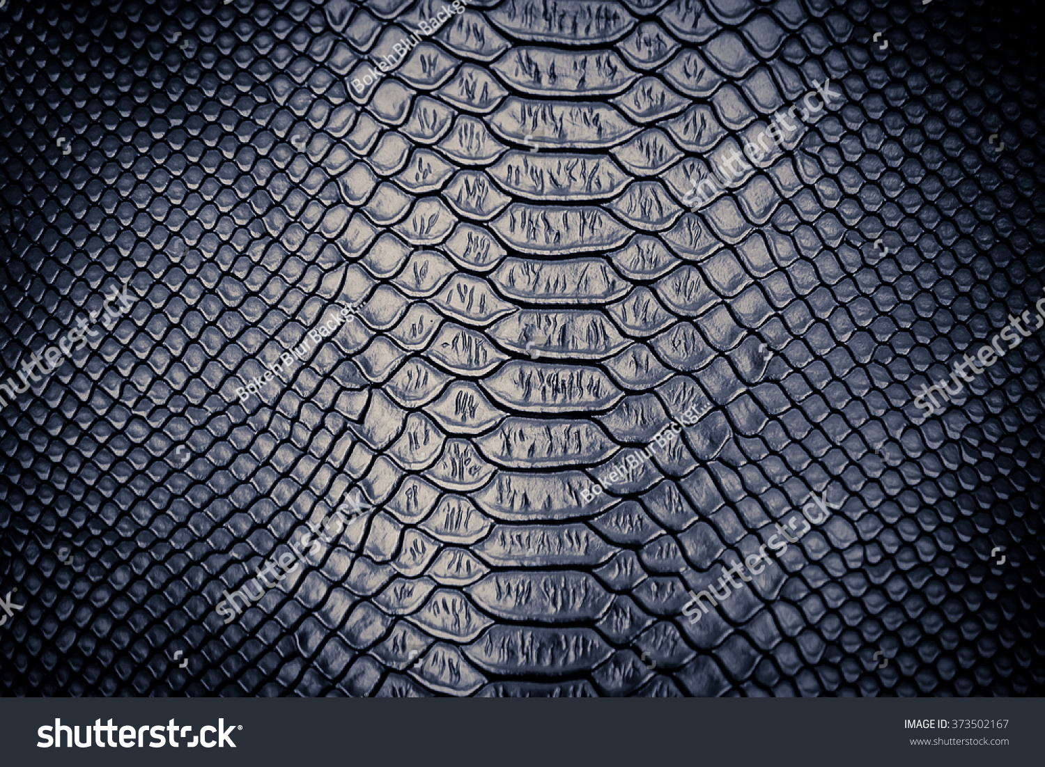 Luxury Snake Skin Texture Use Background Stock Photo 373502167 ...