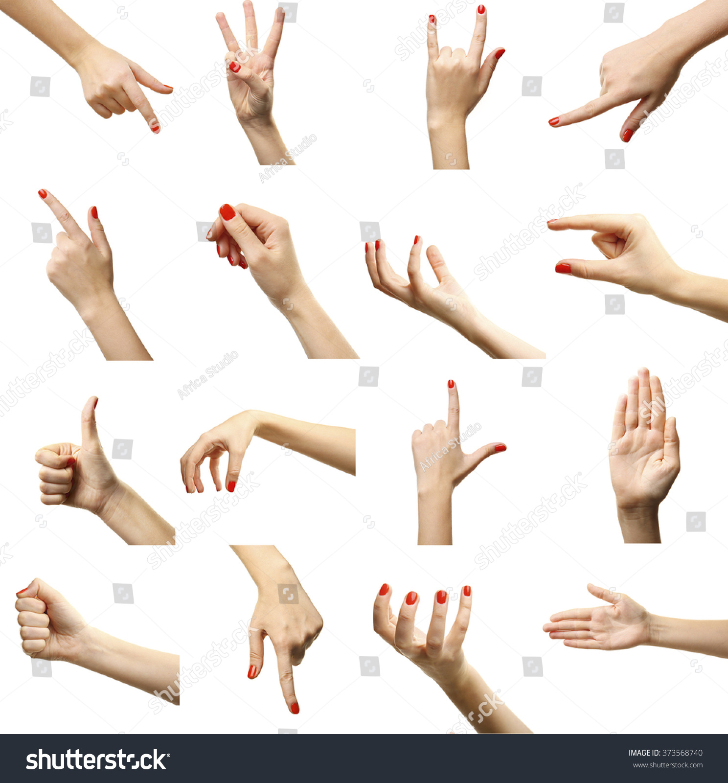 Set Female Hands Gestures Isolated On Foto Stok 373568740 Shutterstock.