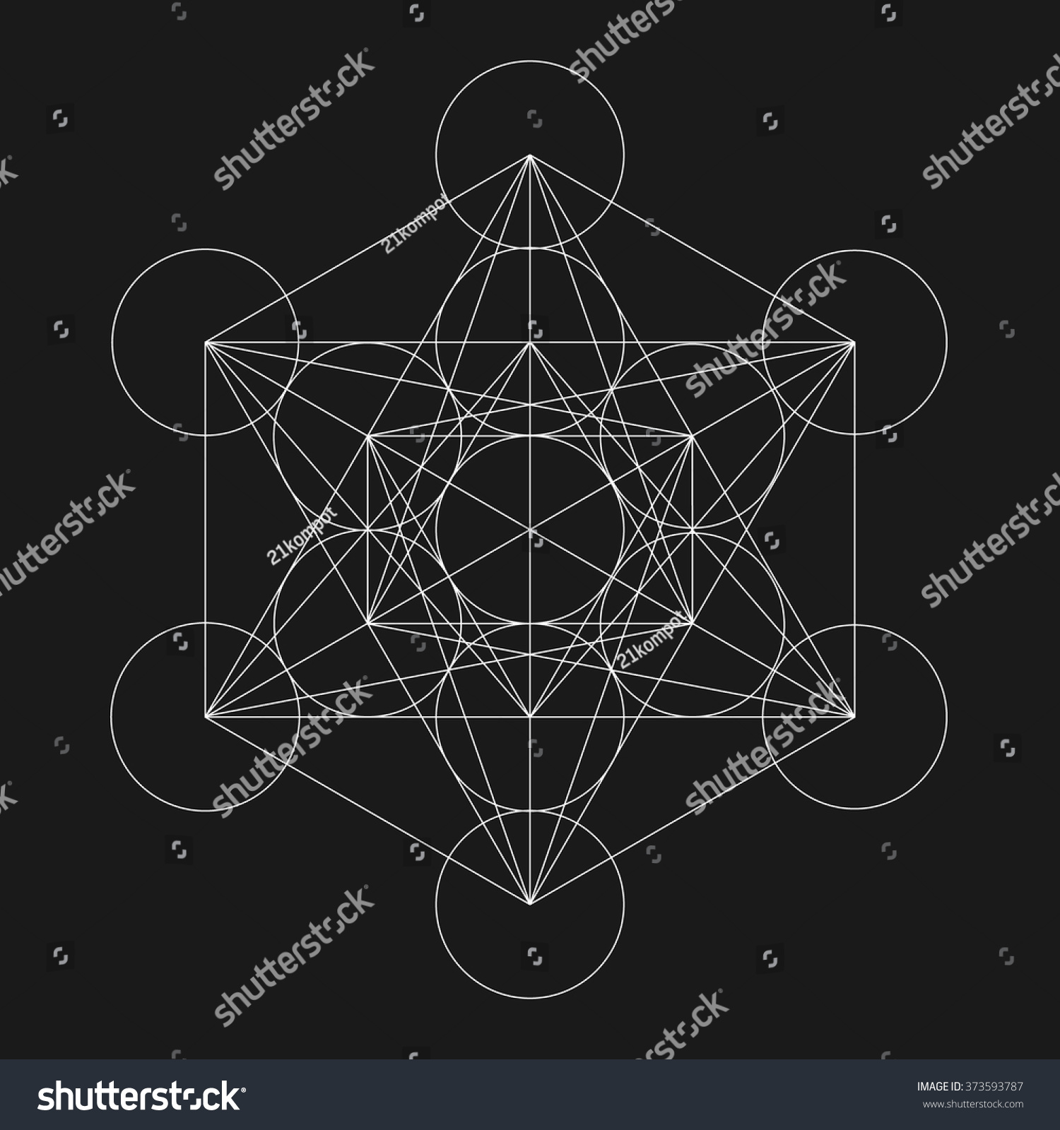 Metatrons Cube Flower Life Vector Geometric Stock Vector (Royalty Free ...