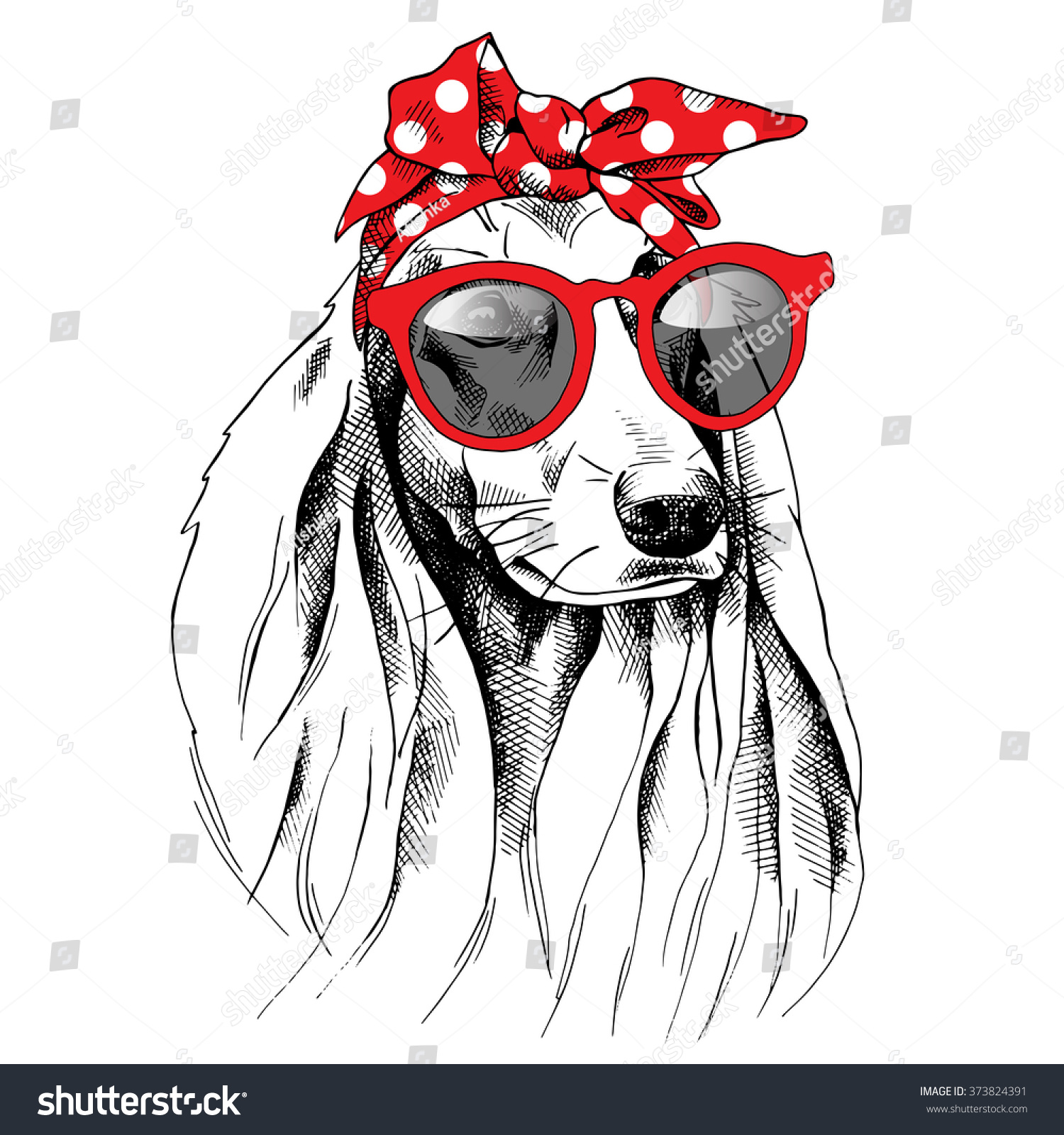 Dog Long Ears Portrait Red Headband Stock Vector (Royalty Free ...