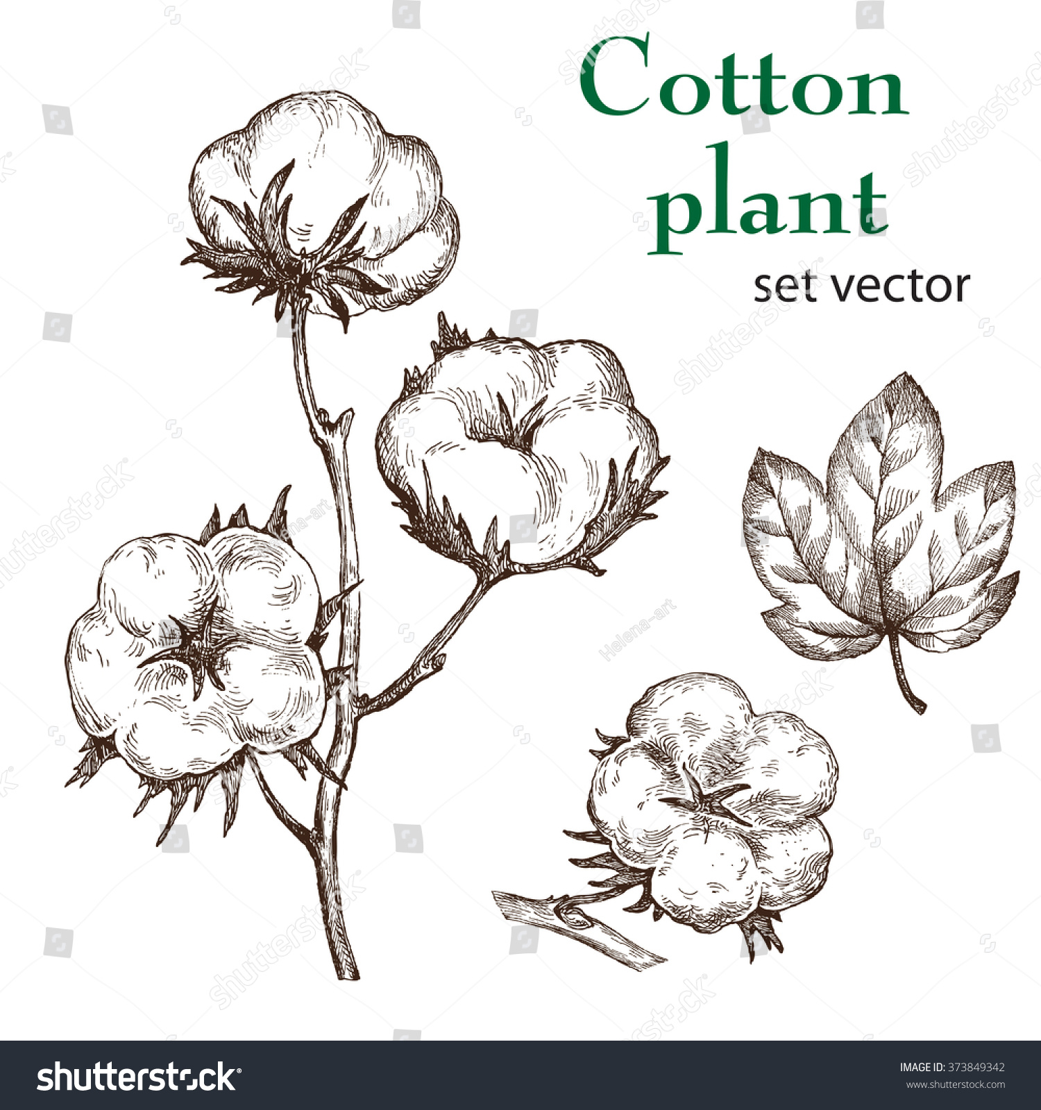 Draw with Cotton