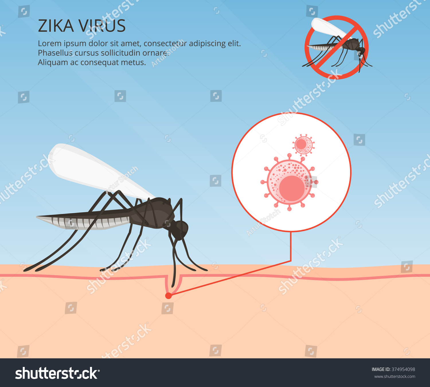 Вирус Зика комар