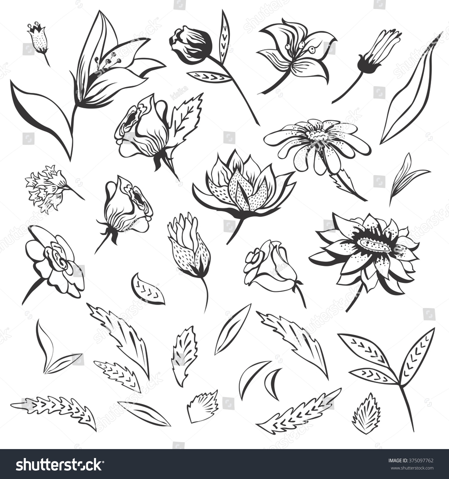 Sketch Vector Flowers Set Outline Floral Stock Vector (Royalty Free ...