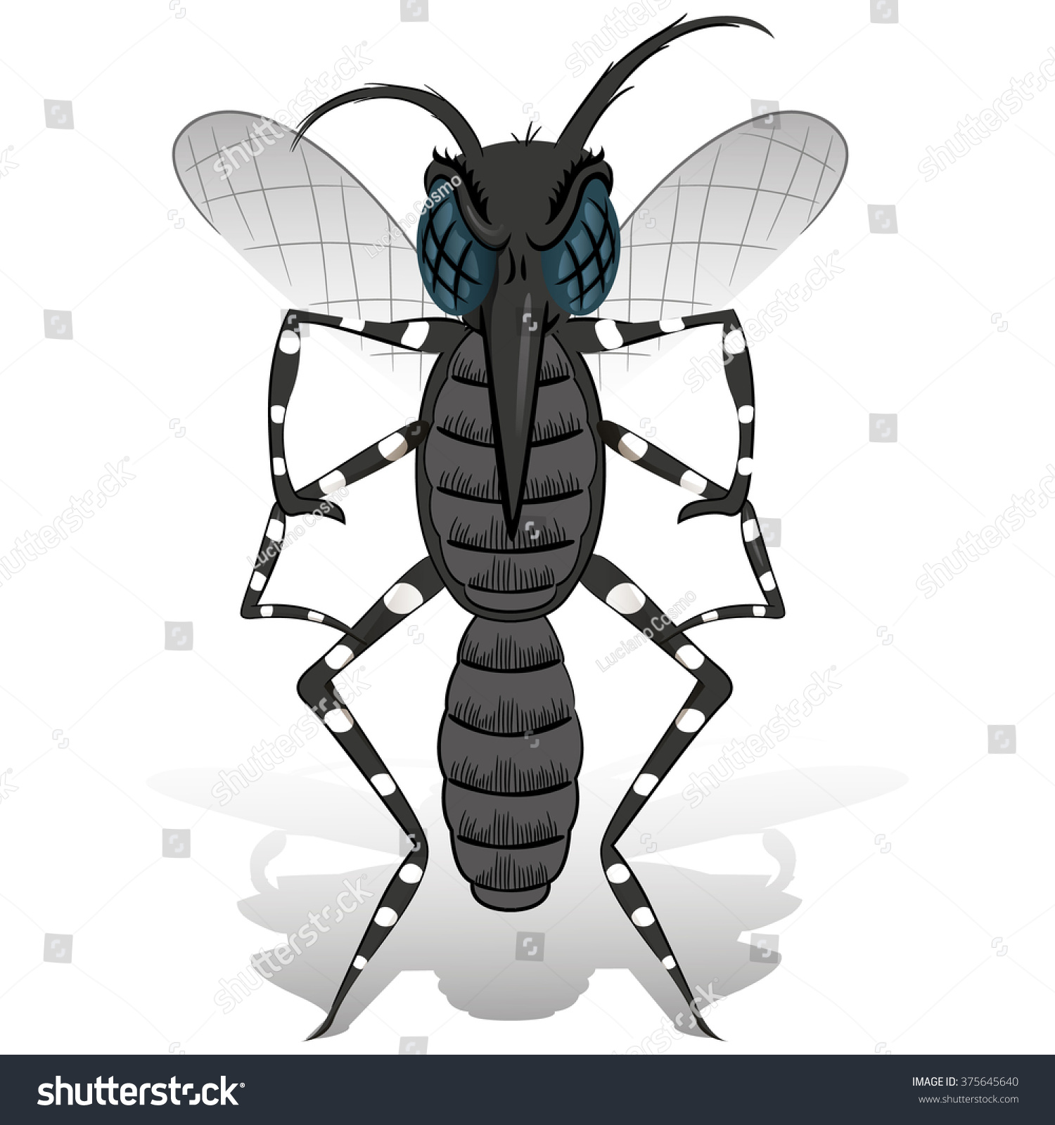 Aedes Aegypti Mosquito Mascot Stilt Front Stock Vector (Royalty Free ...