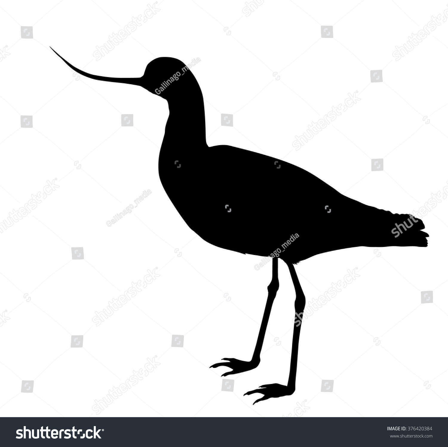 Vector Silhouette Standing Avocet Stock Vector (Royalty Free) 376420384 ...