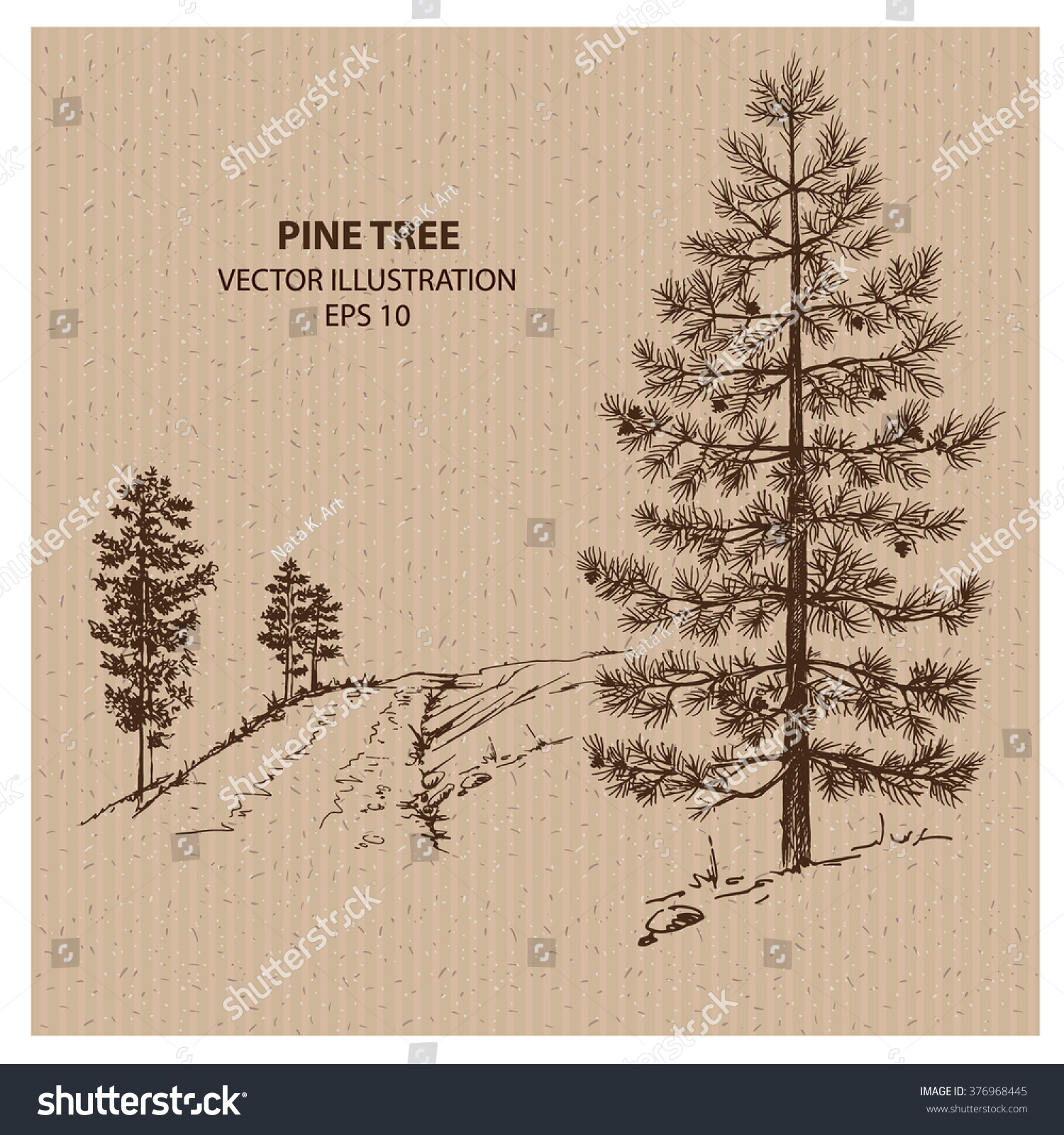 Young Pine Tree Hand Drawn Vector Stock Vector (Royalty Free) 376968445 ...