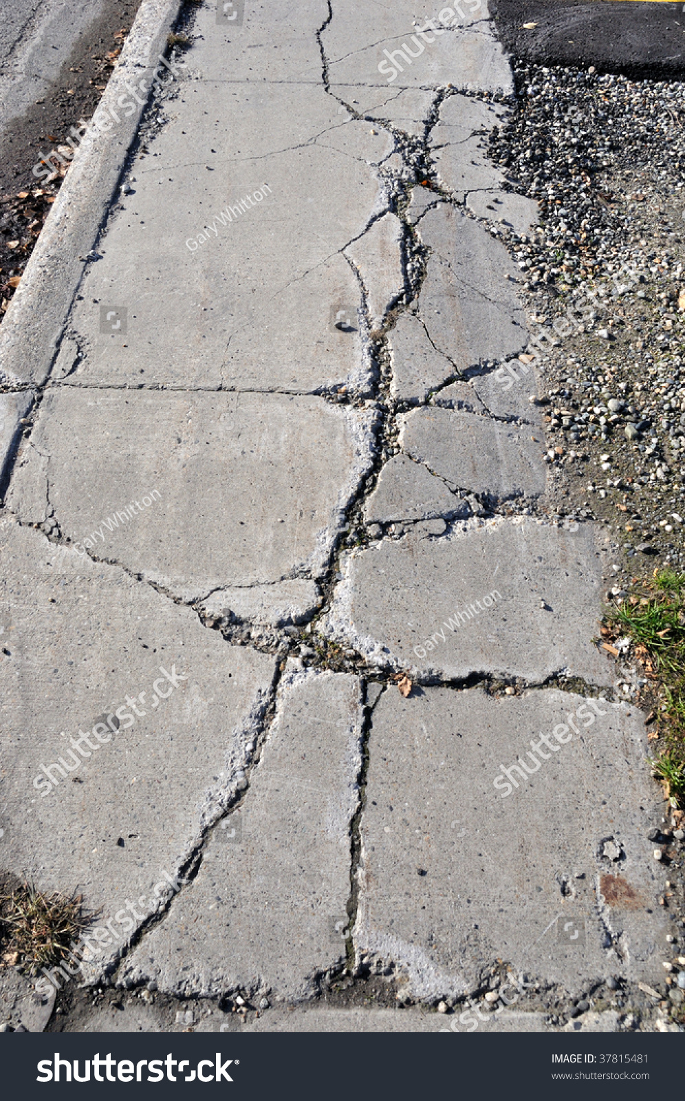 Cracked Sidewalk Urban Area Stock Photo 37815481 | Shutterstock