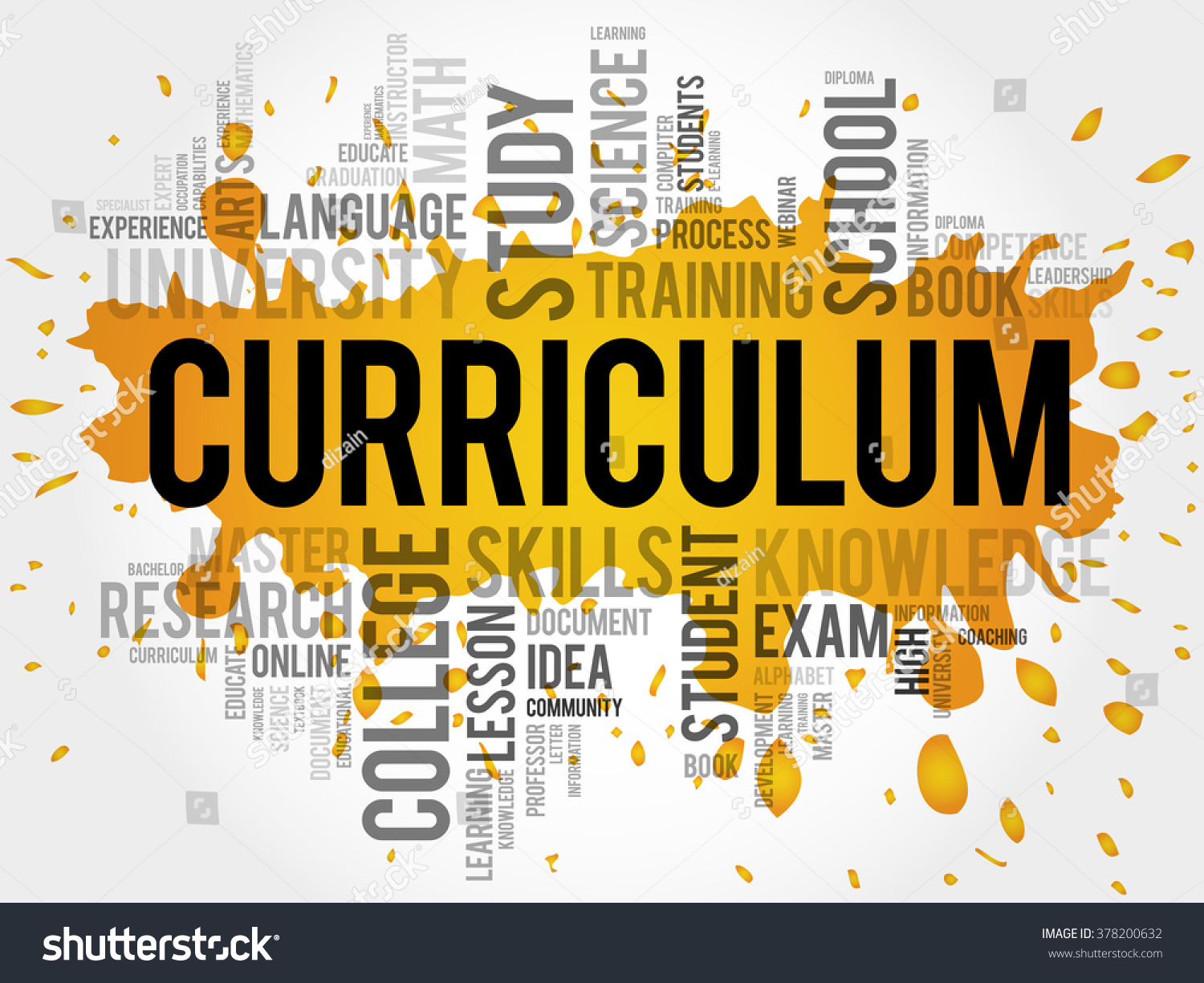 Curriculum Word Cloud Education Business Concept Stock Illustration ...