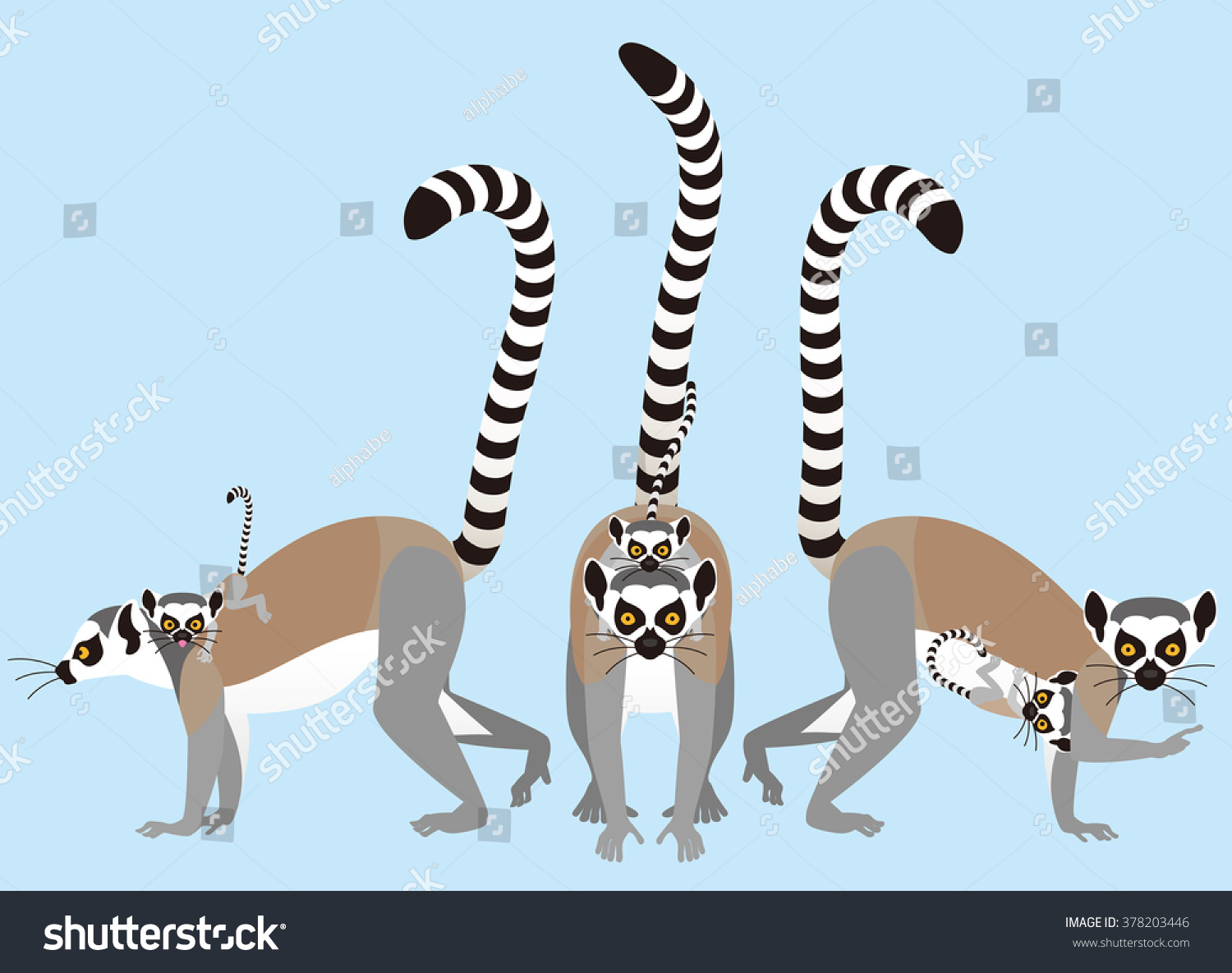 Ring Tailed Lemur Stock Vector (Royalty Free) 378203446 | Shutterstock