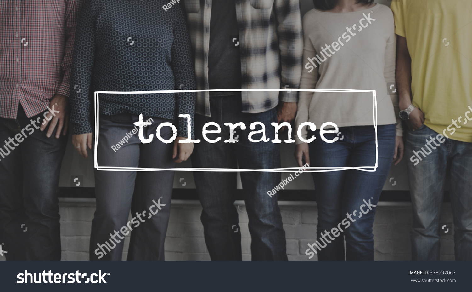 Tolerance Tolerate Toleration Indulgence Respect Concept Stock Photo