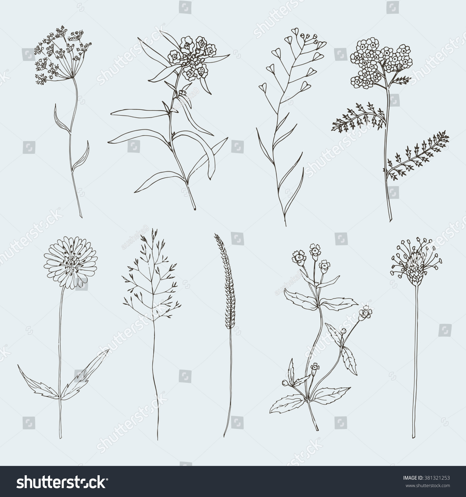 Sketch Flower Set Stock Vector (Royalty Free) 381321253 | Shutterstock