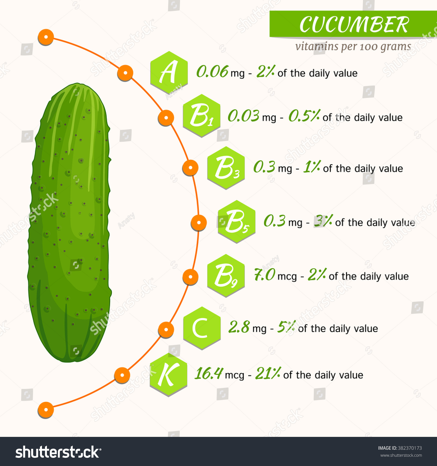 Vector Infographics Content Vitamins Cucumber Healthy Stock Vector ...