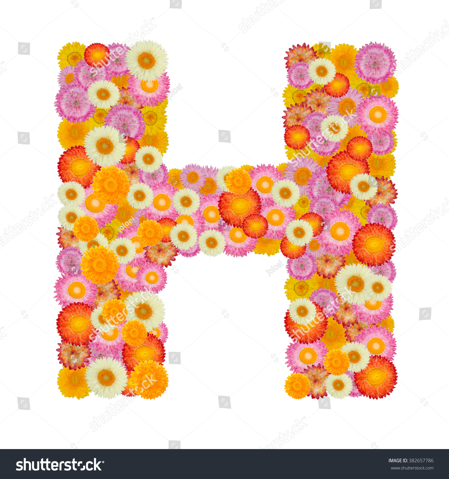 Letter H Alphabet Straw Flower Isolated Stock Photo 382657786 ...