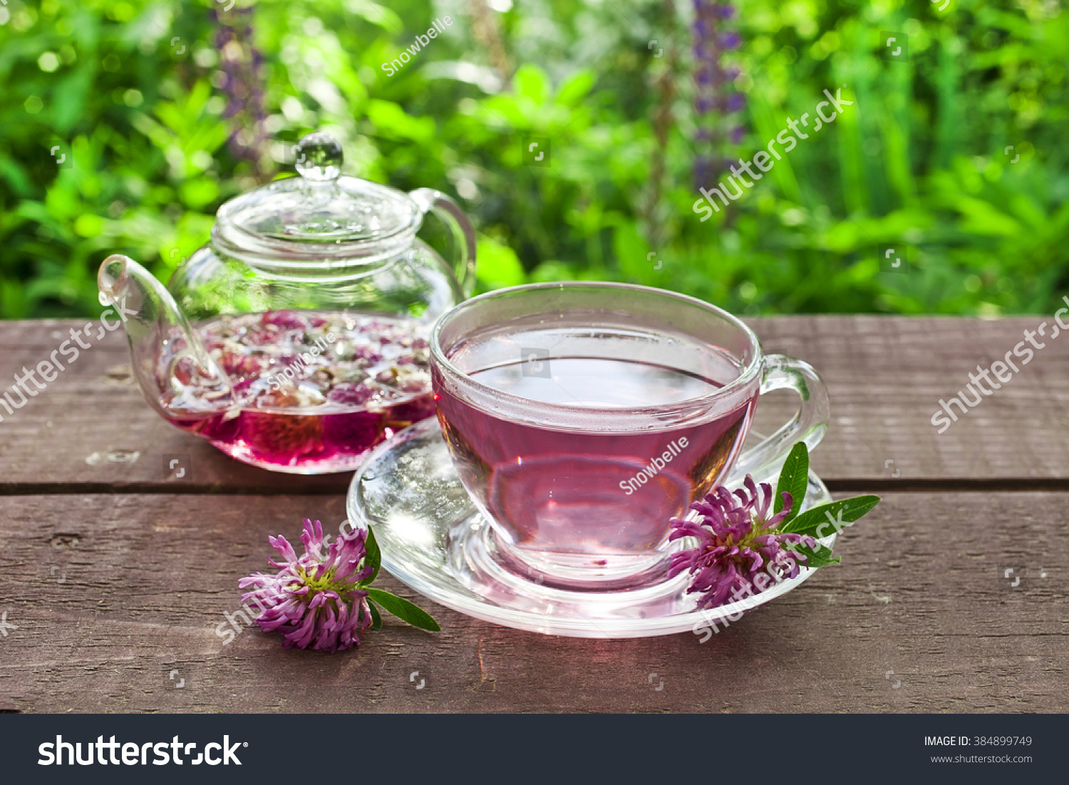 Клевер Луговой чай