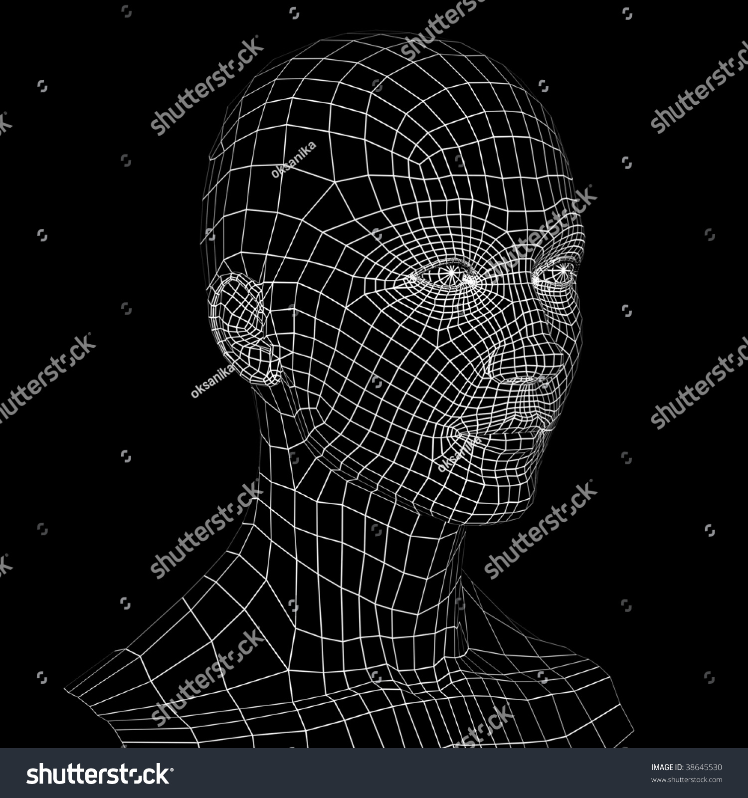 3d Head Woman Wireframe View Stock Illustration 38645527 | Shutterstock