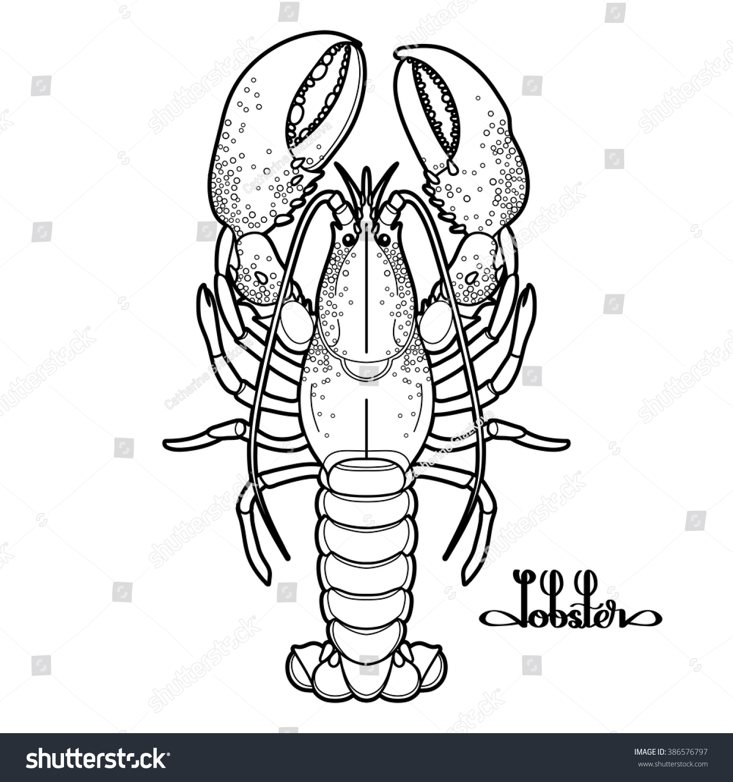 Graphic Vector Lobster Drawn Line Art Stock Vector (Royalty Free