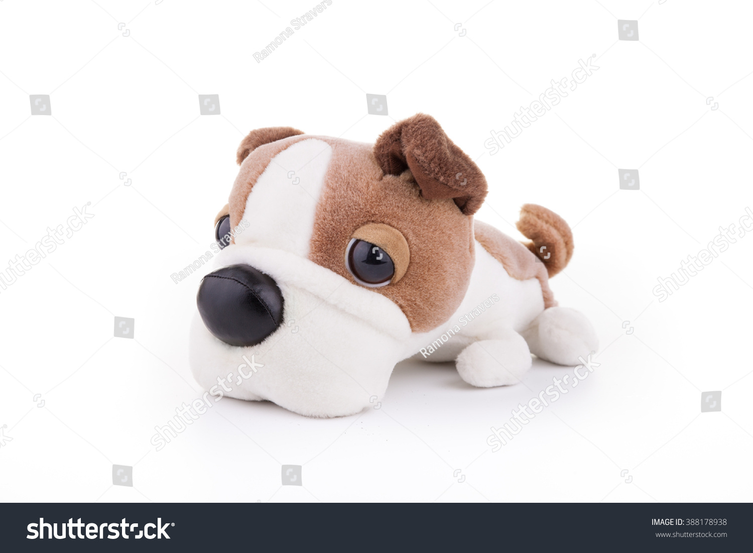 stuffed dog with big head