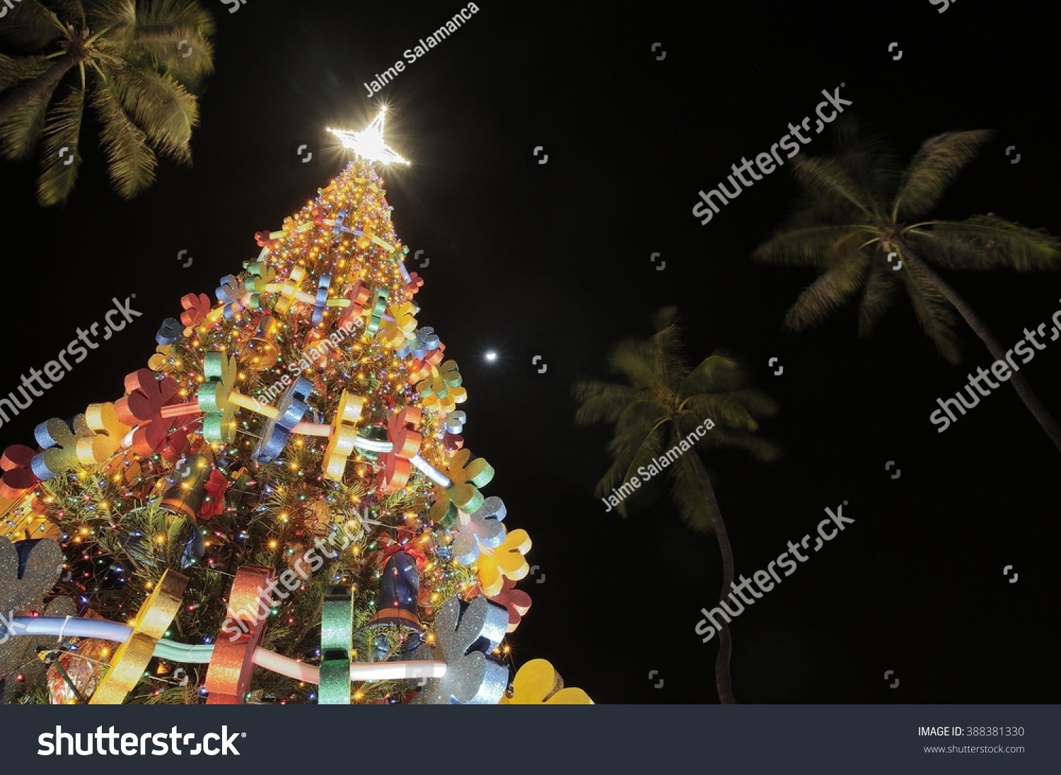 311 Christmas At Honolulu Images, Stock Photos & Vectors Shutterstock