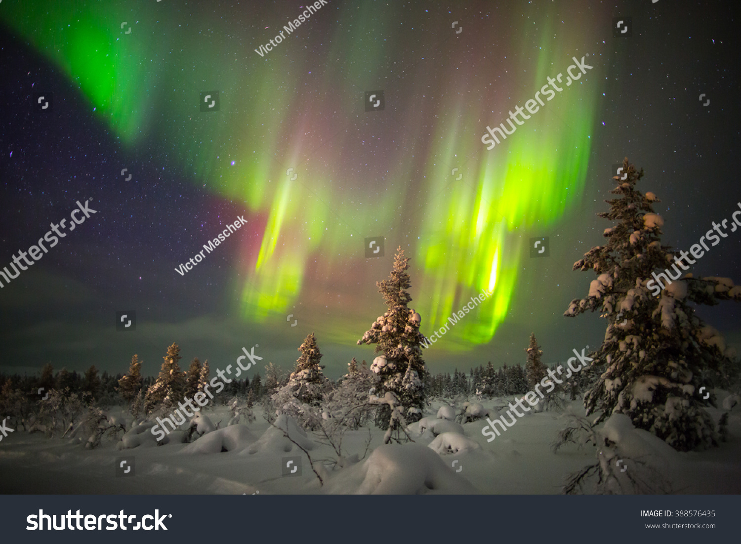 Aurora Borealis Northern Lights Lapland Finland Stock Photo 388576435 ...