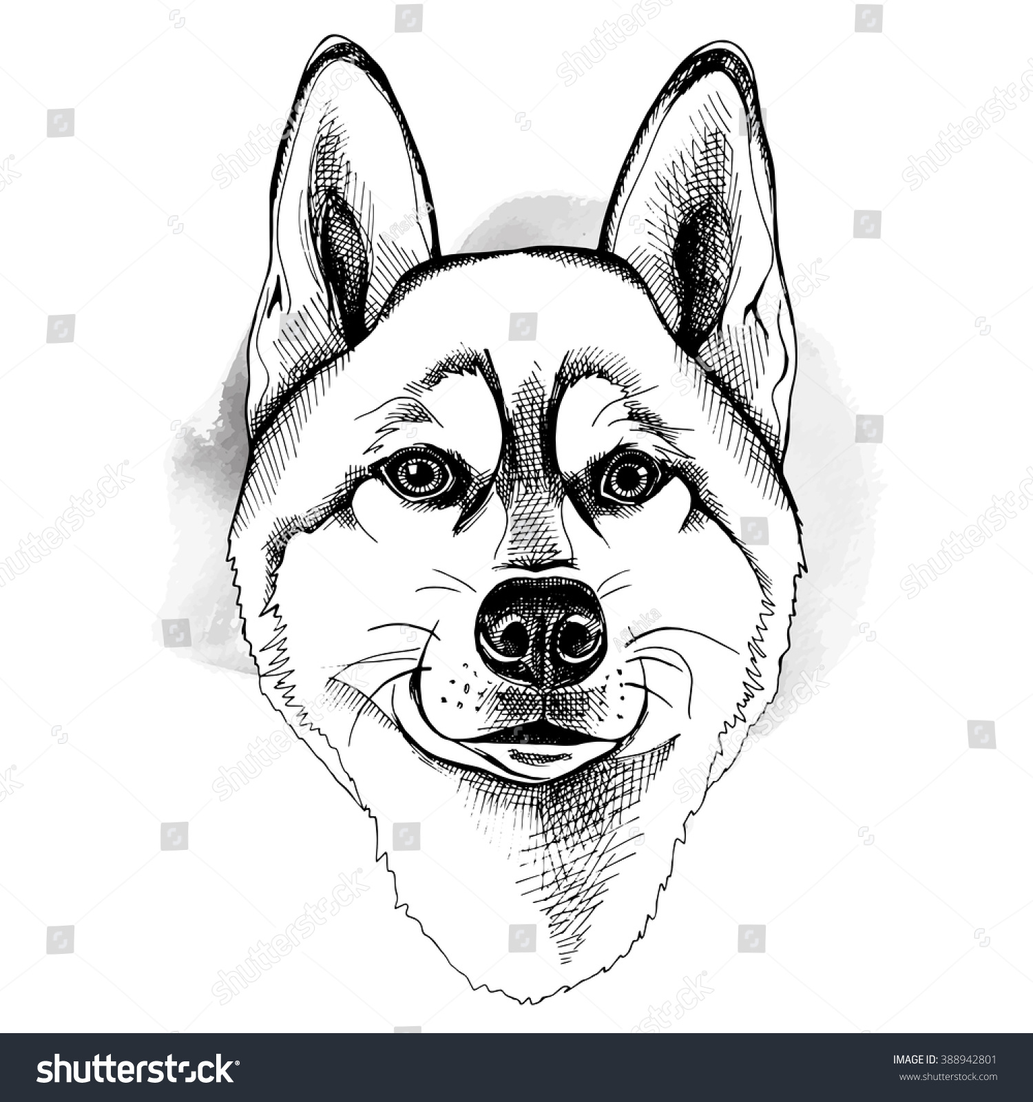 Siberian Husky Portrait Vector Black White Stock Vector (Royalty Free ...