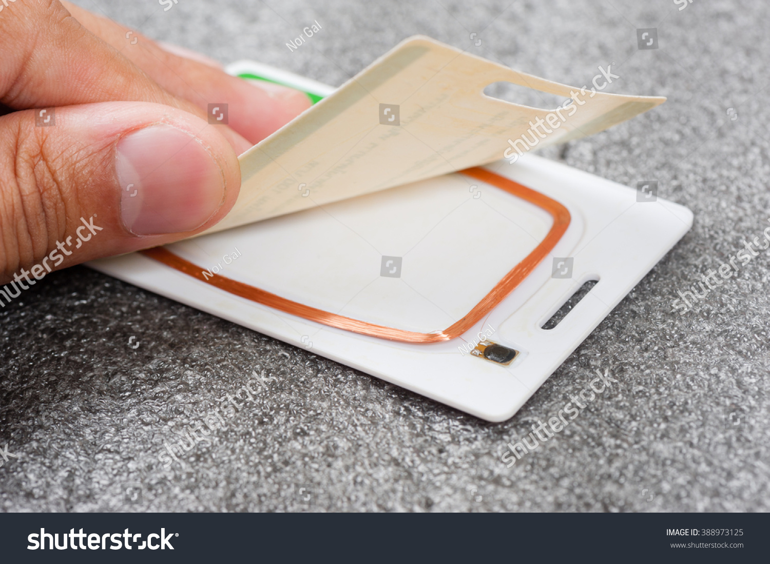 Closeup Circuit Antenna Inside Rfid Card库存照片388973125 | Shutterstock