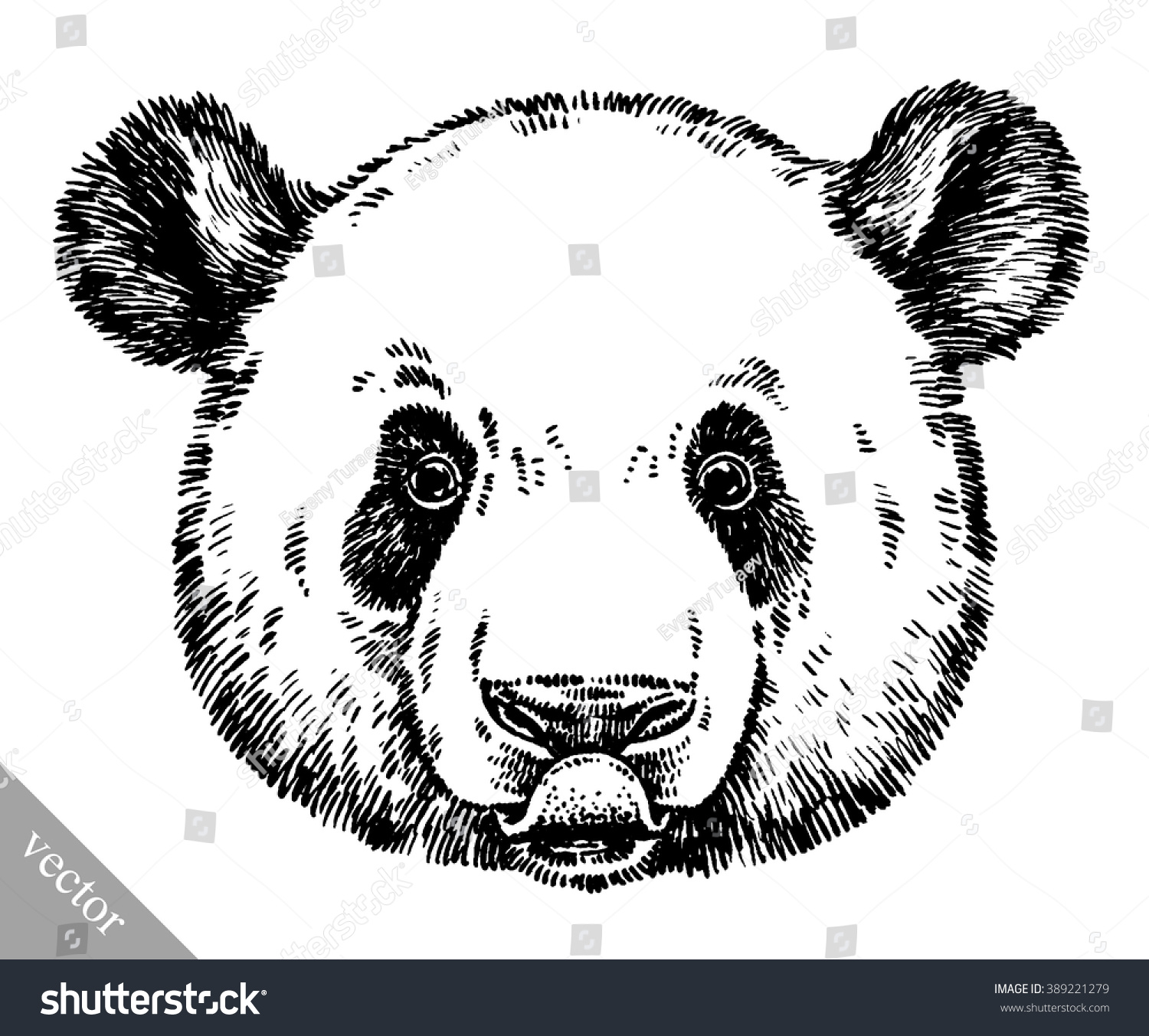 Engrave Ink Draw Panda Illustration Stock Vector (Royalty Free ...