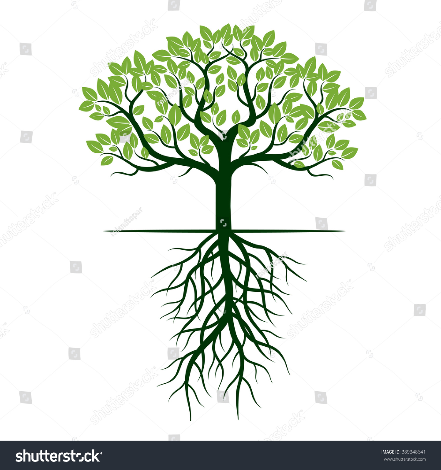 Дерево с листьями и корнями