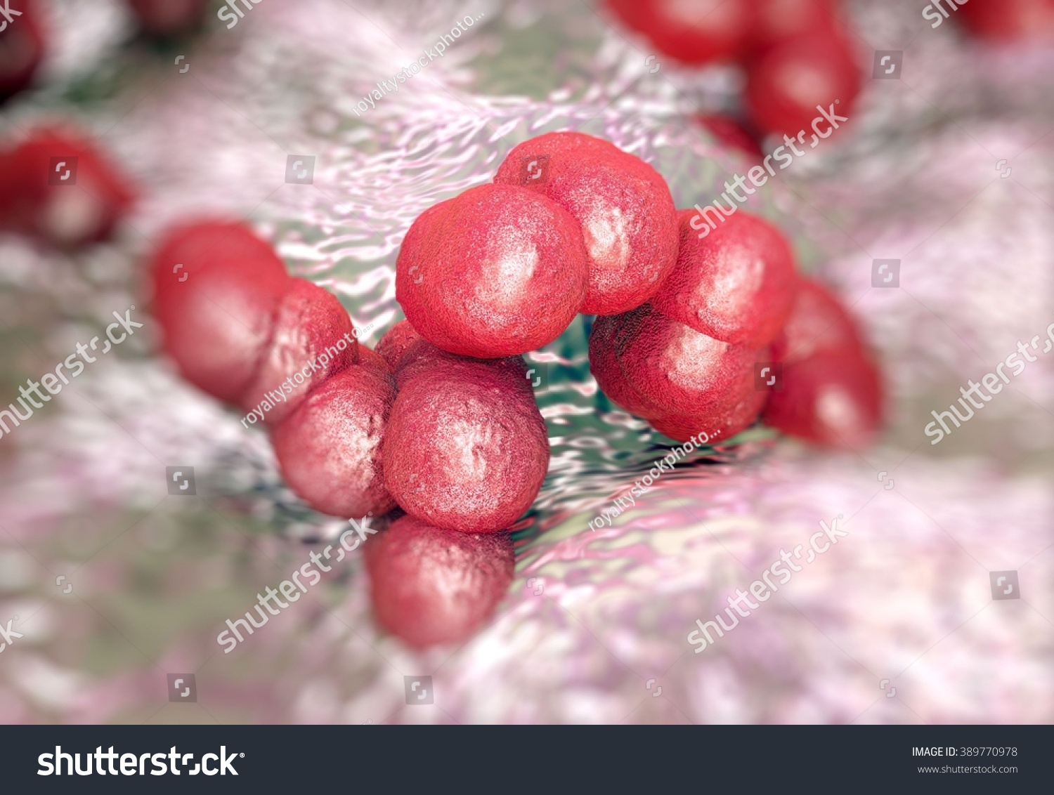 Staphylococcus Epidermidis Bacteria Stock Illustration 389770978