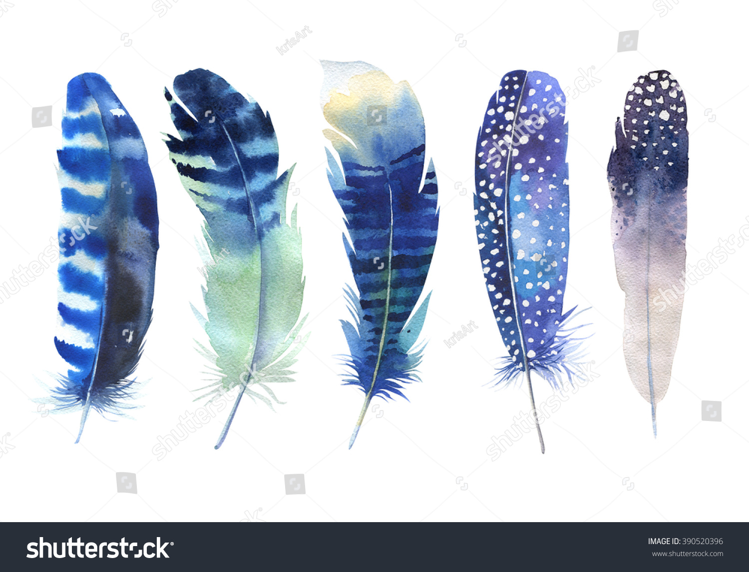 Hand Drawn Watercolor Vibrant Feather Set Stock Illustration 390520396 ...