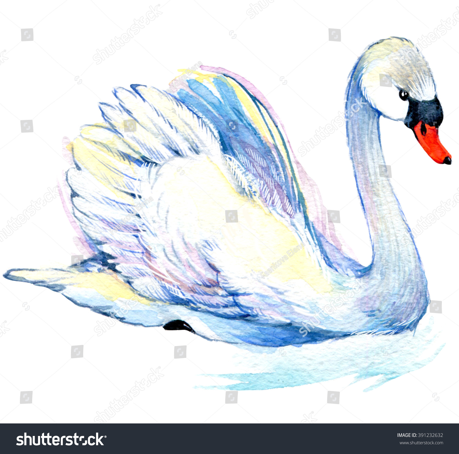 Swan Watercolor Illustration Stock Illustration 391232632 | Shutterstock