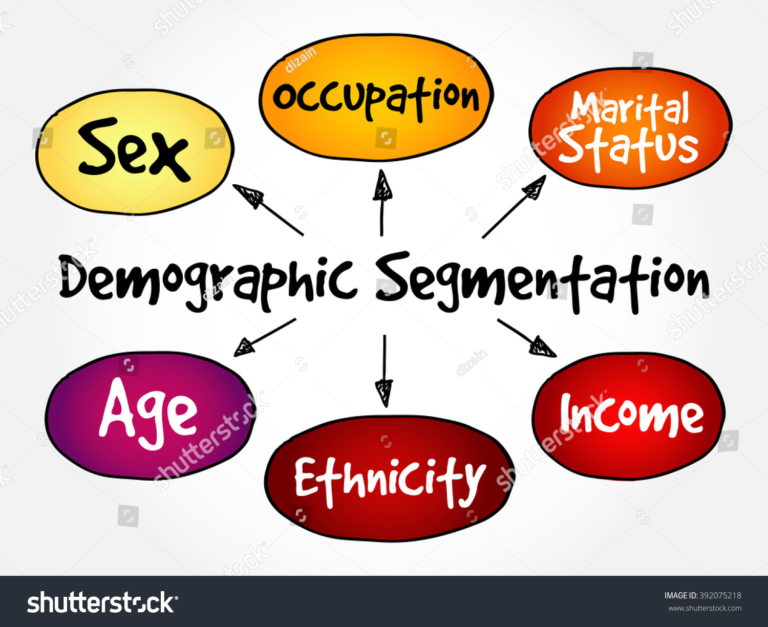 Demographic Segmentation Mind Map Flowchart Social 스톡 벡터 로열티 프리